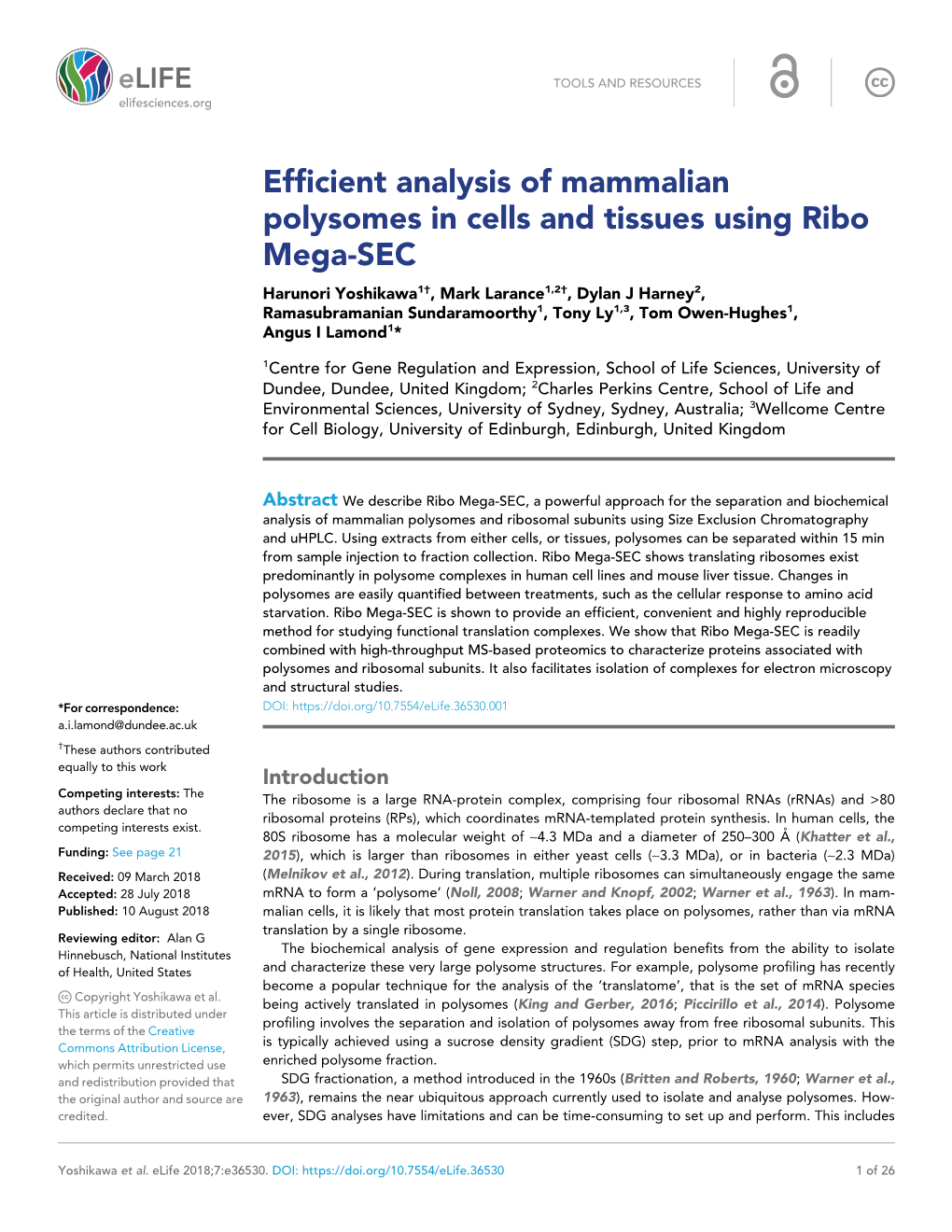 Efficient Analysis of Mammalian Polysomes in Cells and Tissues