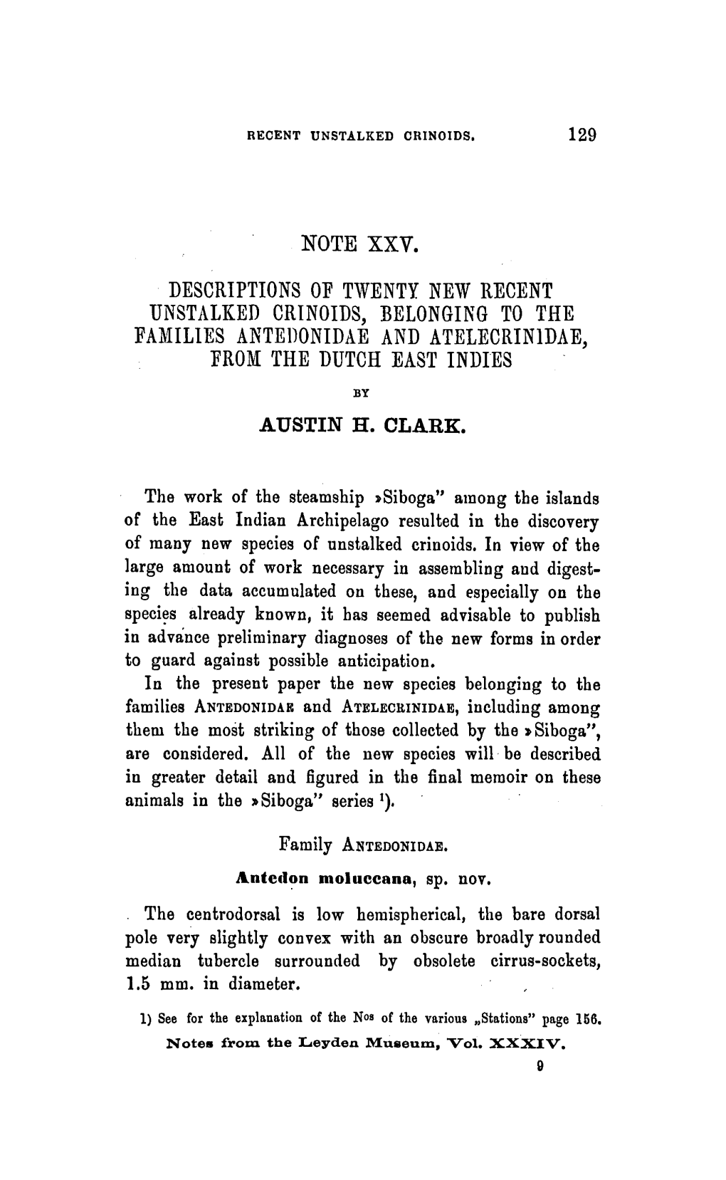 Crinoids, Belonging to the Families Antedonidae and Atelecrinidae