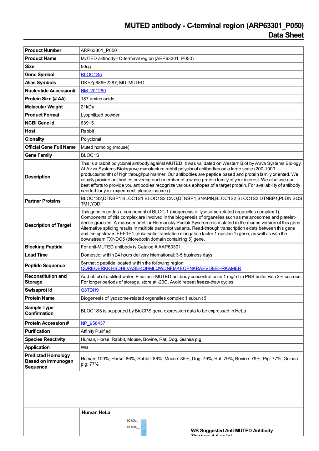 MUTED Antibody - C-Terminal Region (ARP63301 P050) Data Sheet