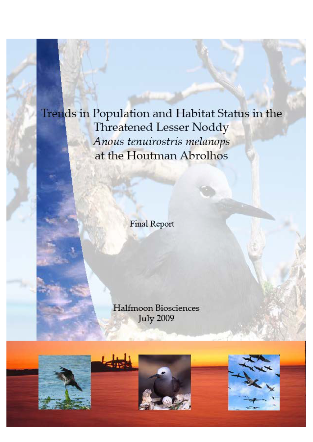 Trends in Population and Habitat Status in the Threatened Lesser Noddy Anous Tenuirostris Melanops at the Houtman Abrolhos