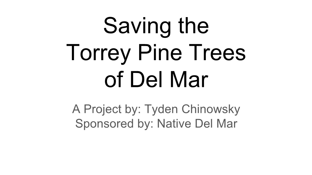 Saving the Torrey Pine Trees of Del