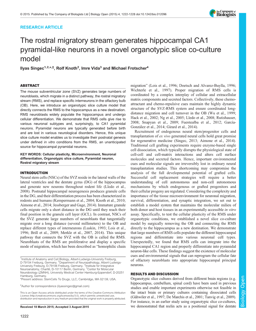 The Rostral Migratory Stream Generates Hippocampal CA1