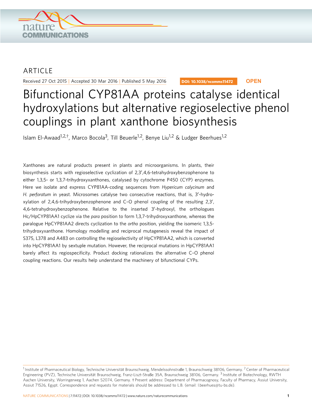 Bifunctional CYP81AA Proteins Catalyse Identical Hydroxylations but Alternative Regioselective Phenol Couplings in Plant Xanthone Biosynthesis