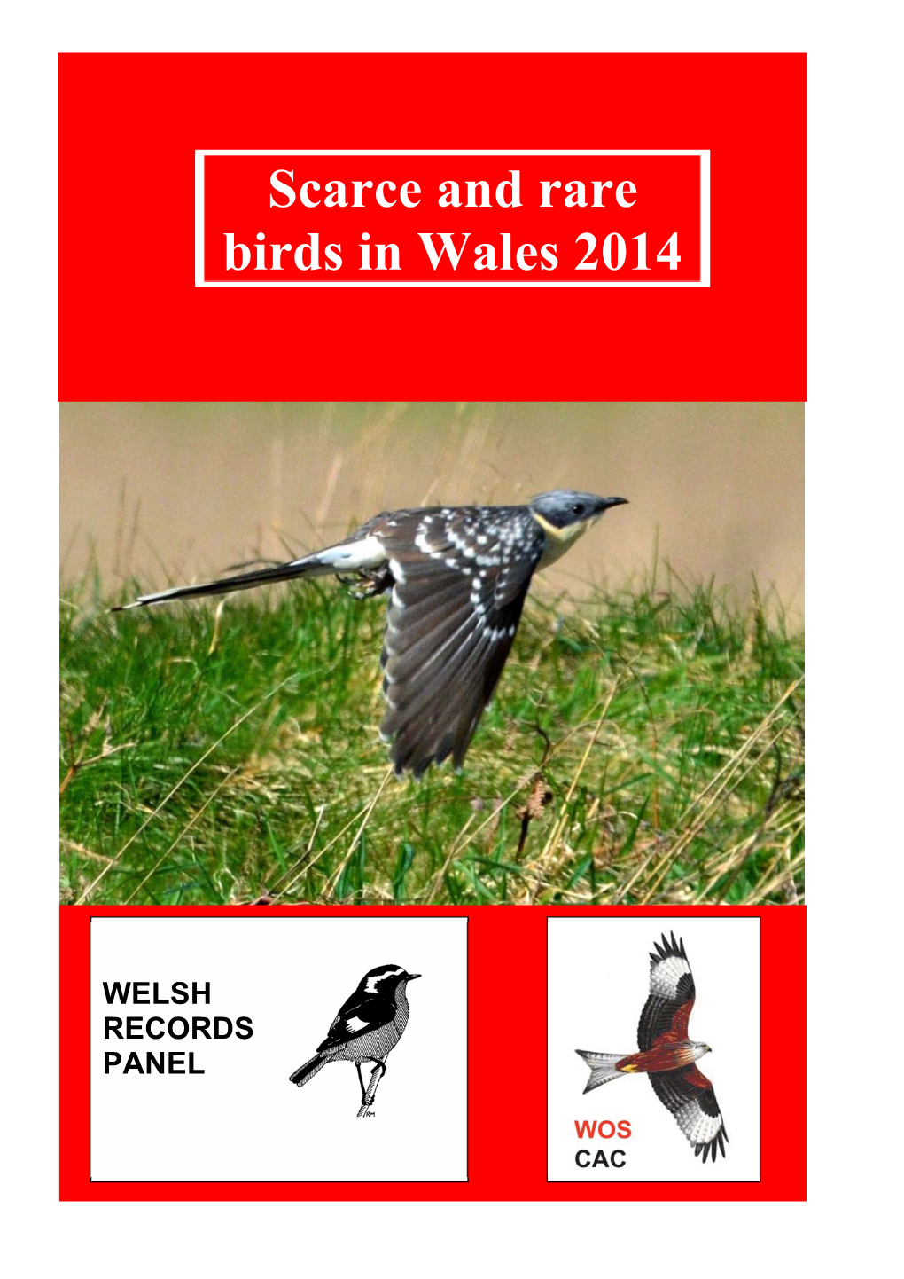 Scarce and Rare Birds in Wales 2014