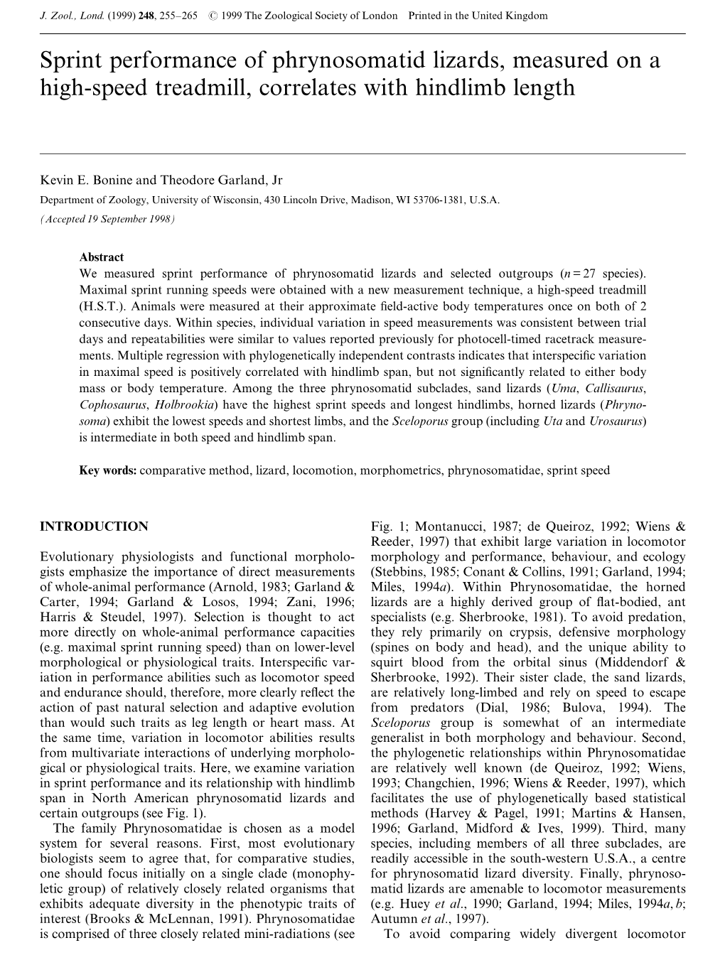 Sprint Performance of Phrynosomatid Lizards, Measured on a High-Speed Treadmill, Correlates with Hindlimb Length