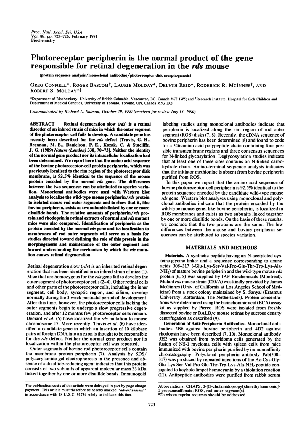 Photoreceptor Peripherin Is the Normal Product of the Gene Responsible For