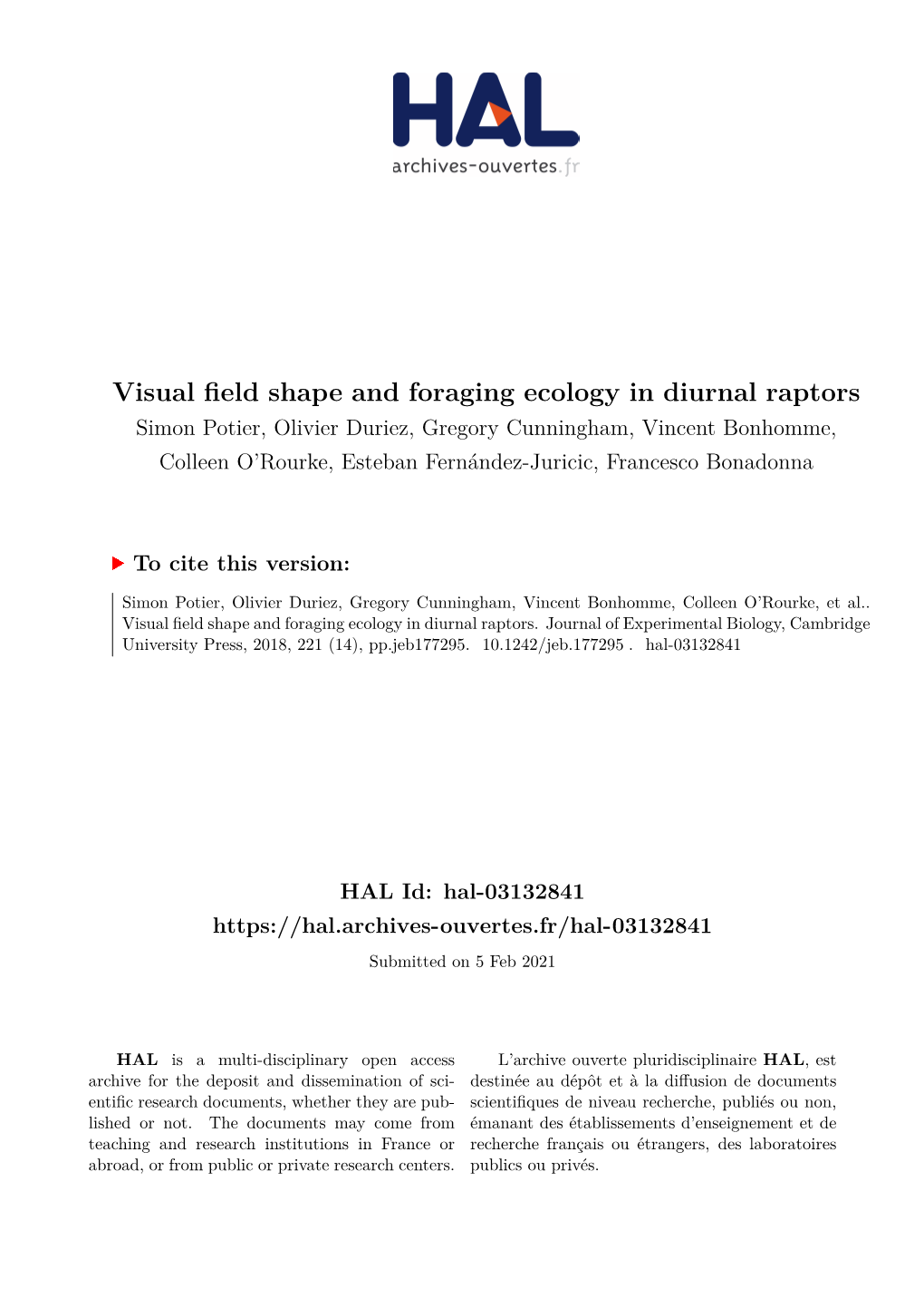 Visual Field Shape and Foraging Ecology in Diurnal Raptors