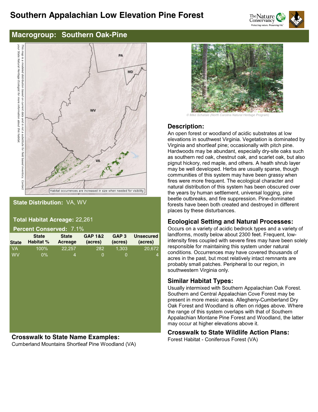 Southern Appalachian Low Elevation Pine Forest