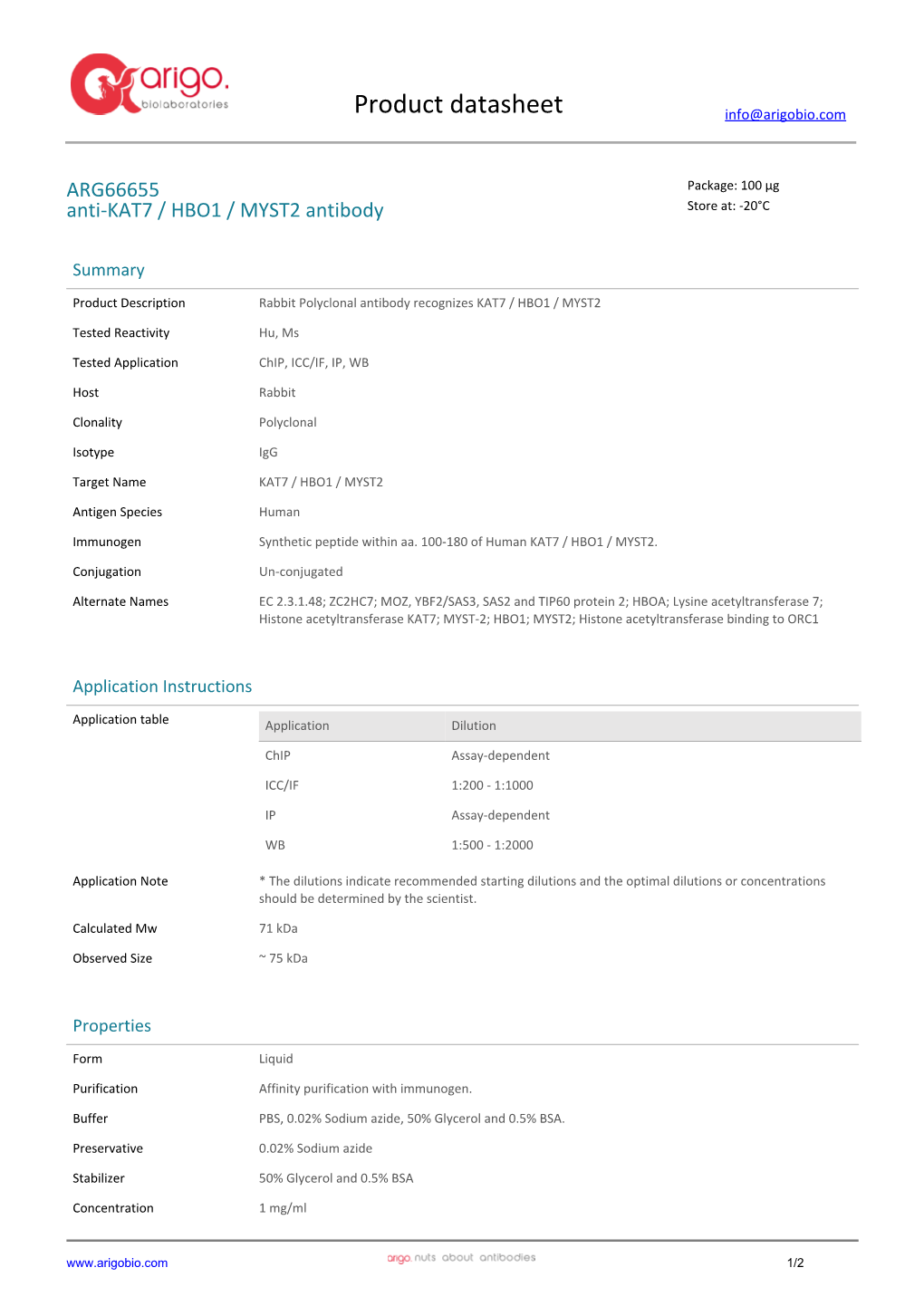 Anti-KAT7 / HBO1 / MYST2 Antibody (ARG66655)