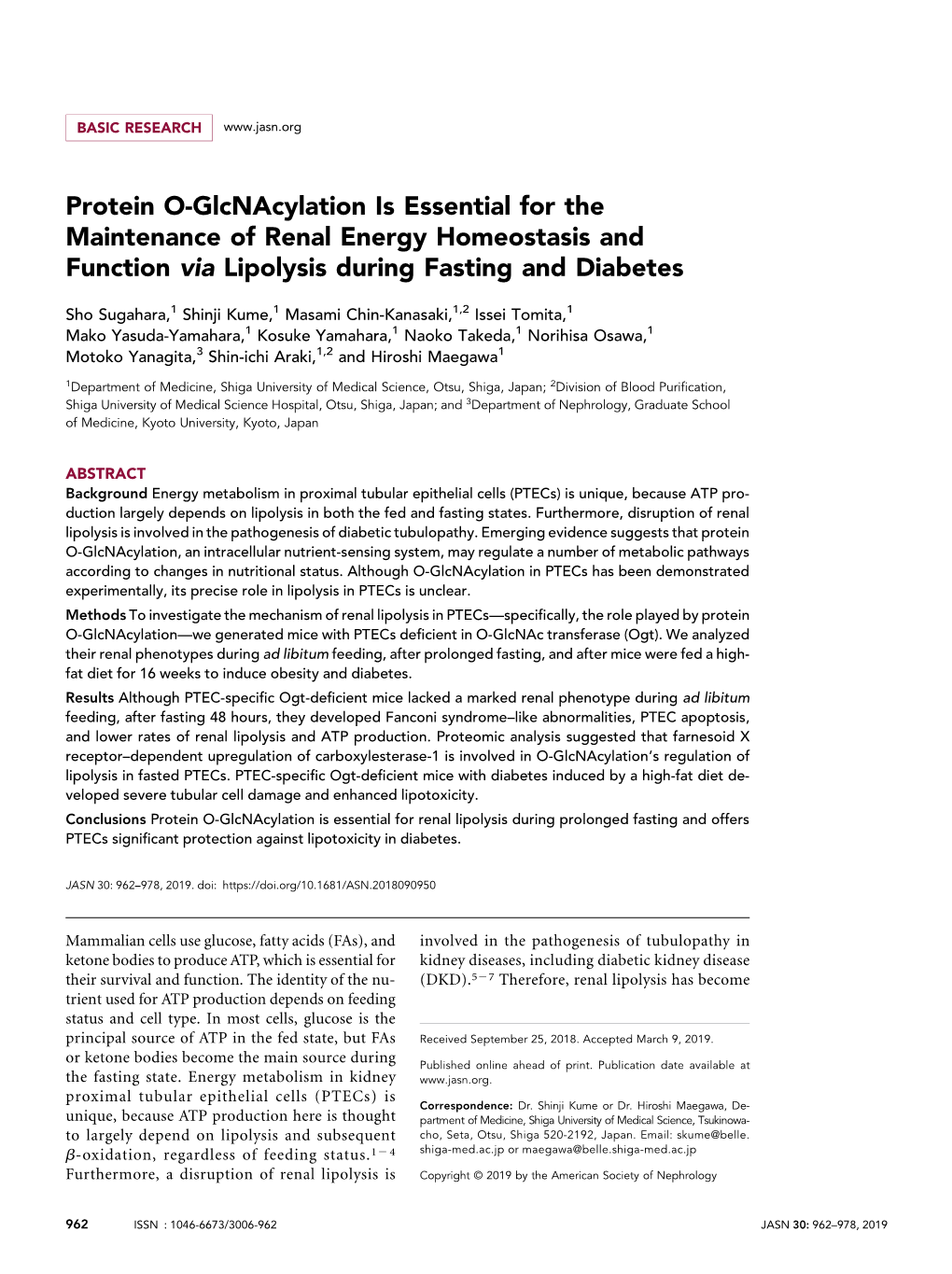 Protein O-Glcnacylation Is Essential for the Maintenance of Renal Energy Homeostasis and Function Via Lipolysis During Fasting and Diabetes