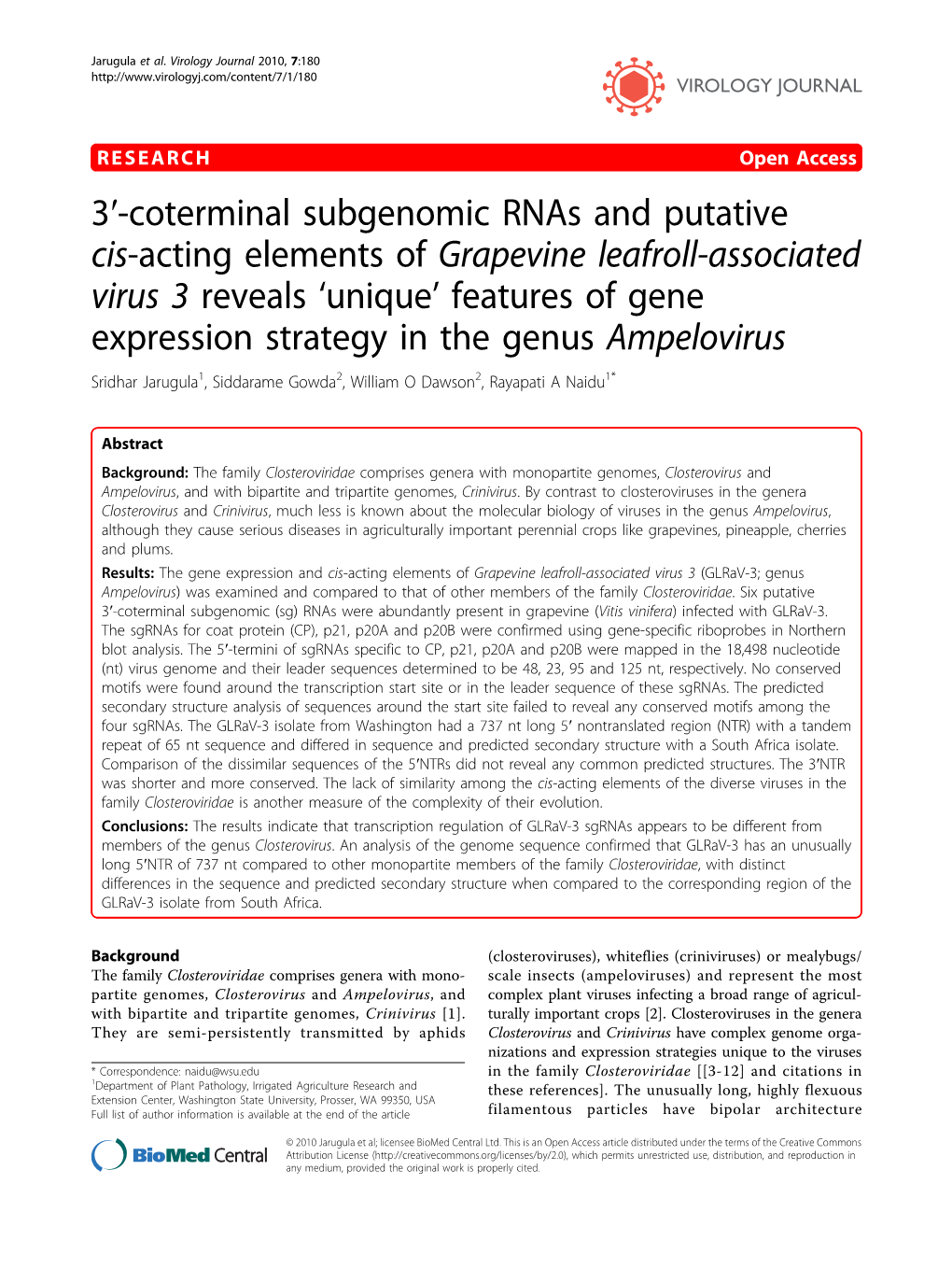 3′-Coterminal Subgenomic Rnas and Putative Cis-Acting Elements of Grapevine Leafroll-Associated Virus 3 Reveals 'Unique' F