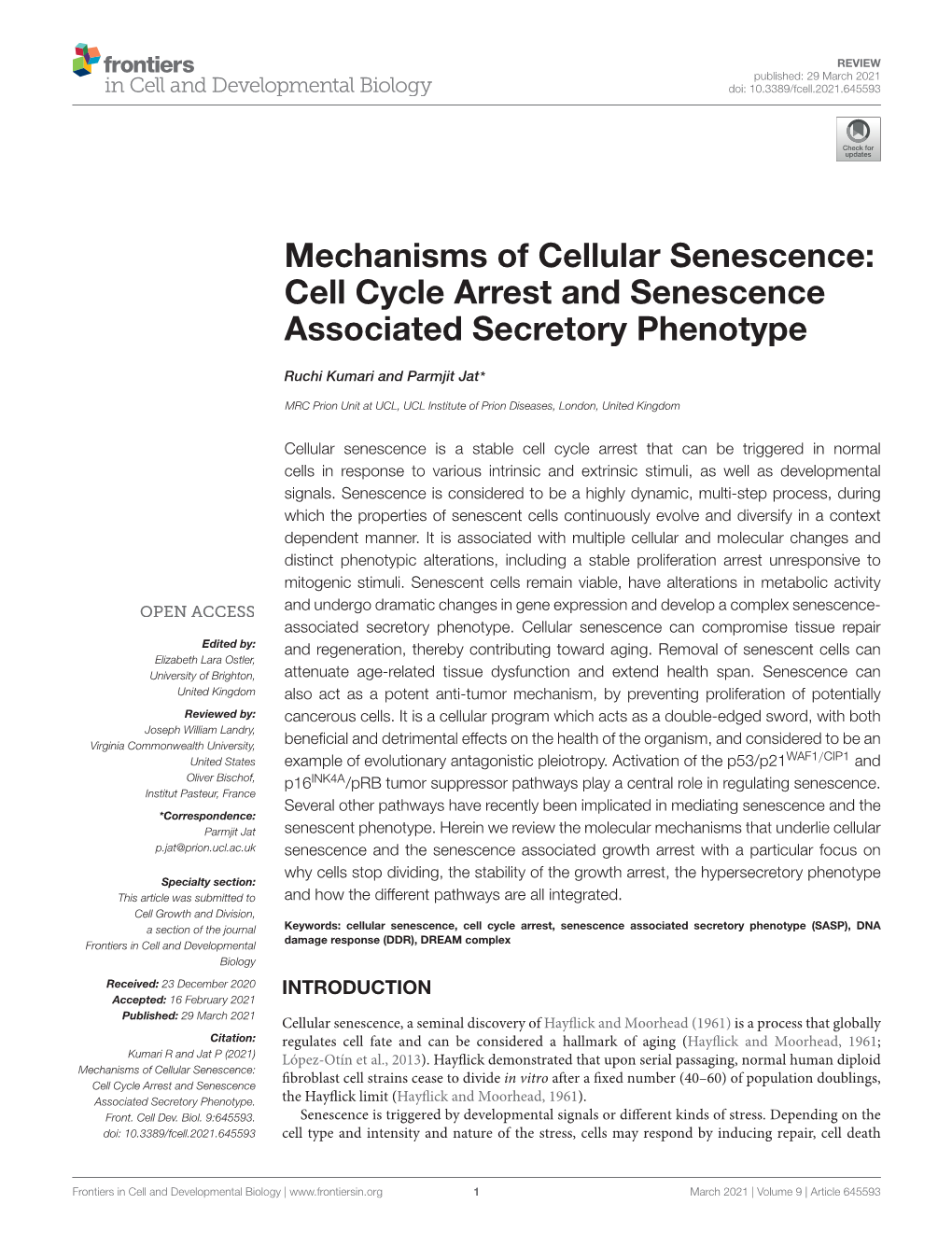 Cell Cycle Arrest and Senescence Associated Secretory Phenotype