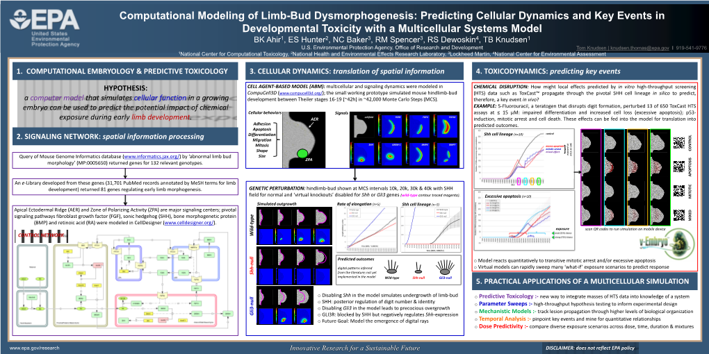 Computational Modeling of Limb-Bud Dysmorphogenesis