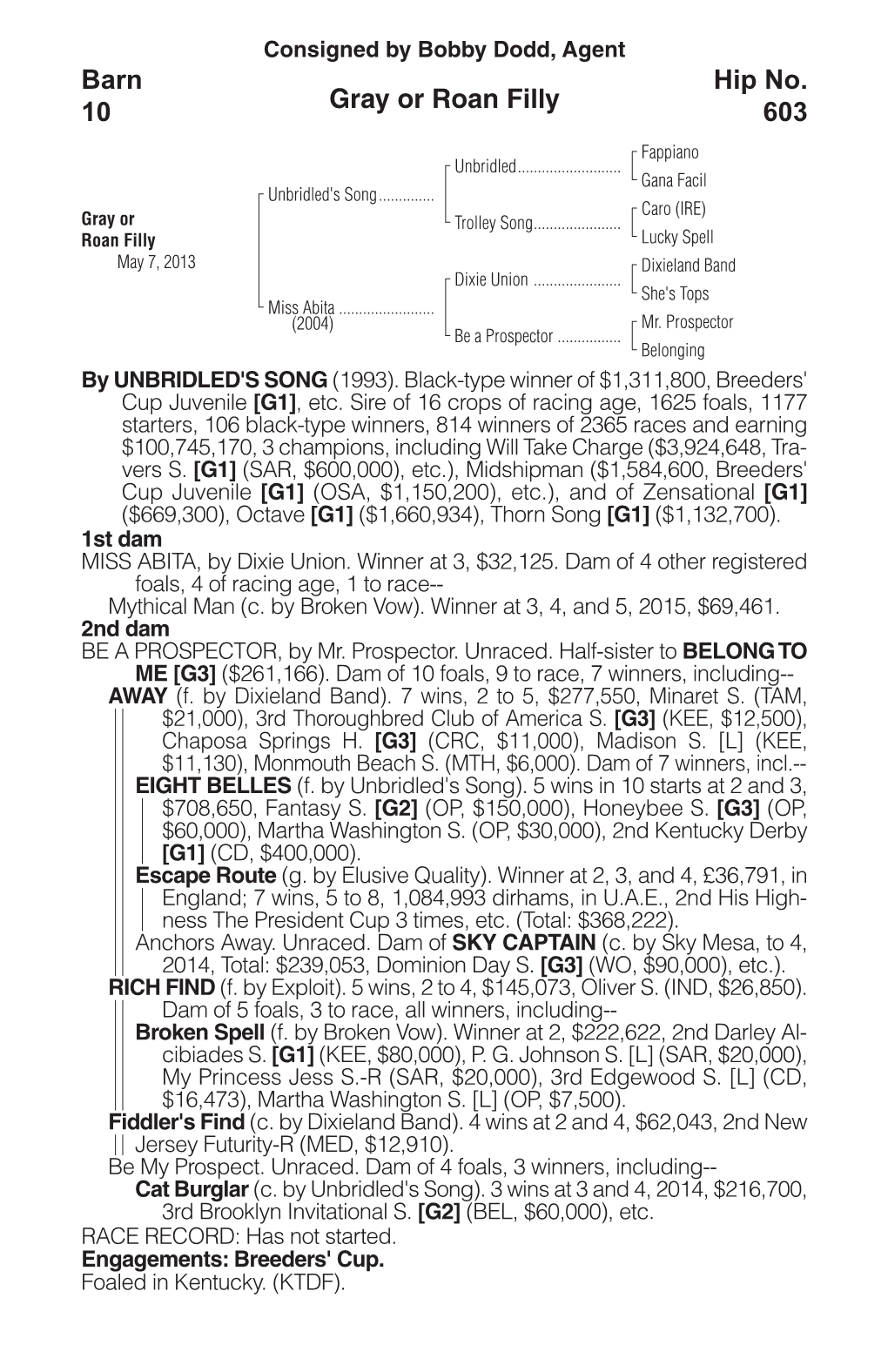 Gray Or Roan Filly Barn 10 Hip No