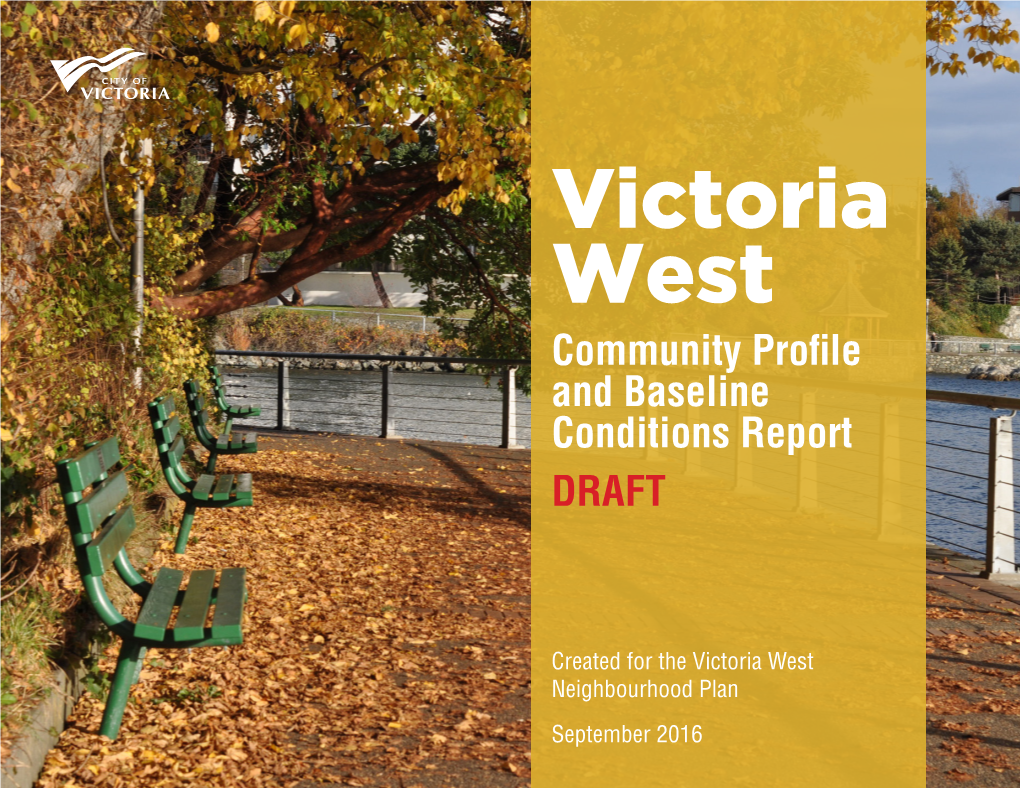 Victoria West Profile and Baseline Report