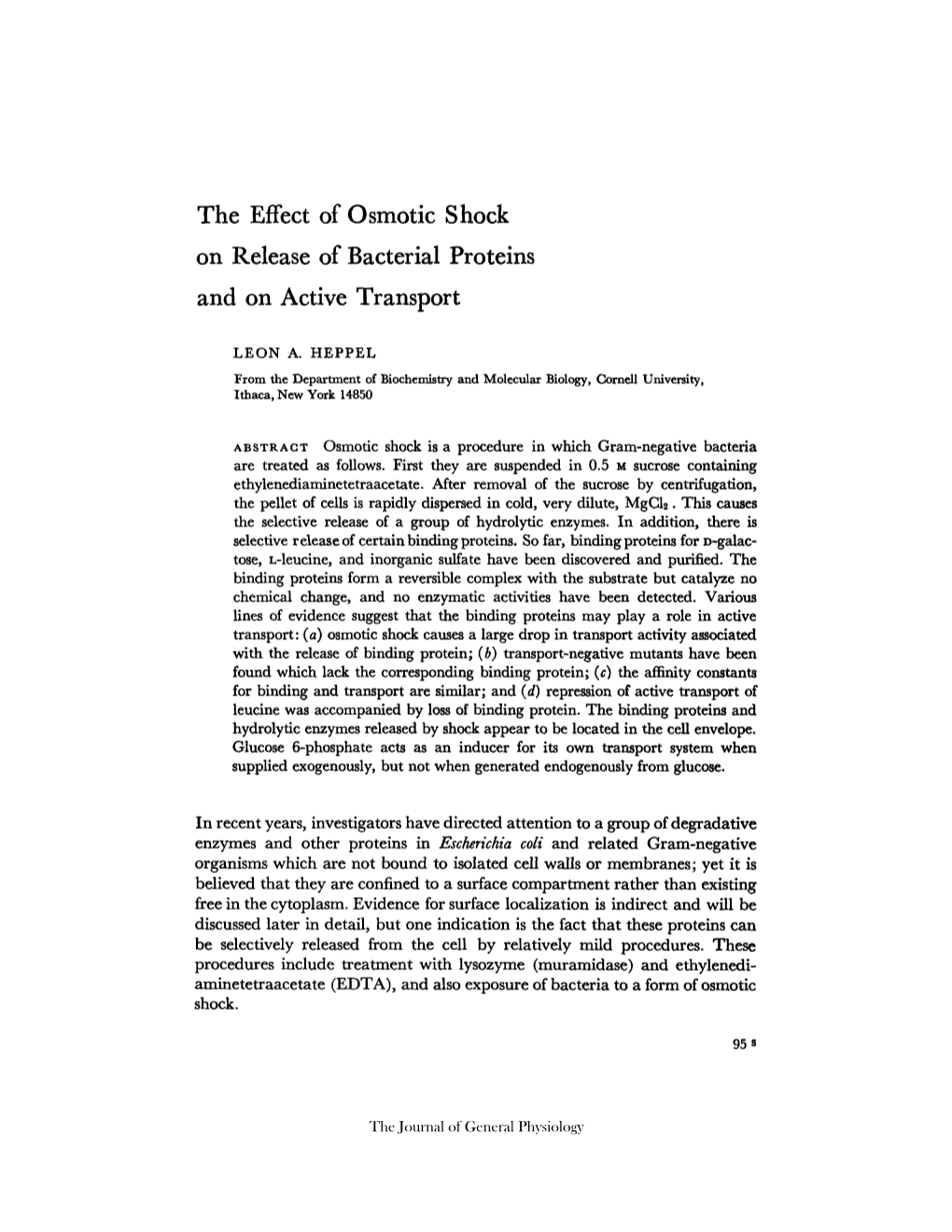 The Effect of Osmotic Shock on Release of Bacterial Proteins and on Active Transport