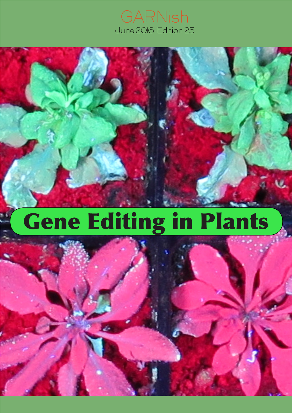 Gene Editing in Plants 2 Garnish Garnish 3 Editorial & Contents Editorial & the Garnet Committee