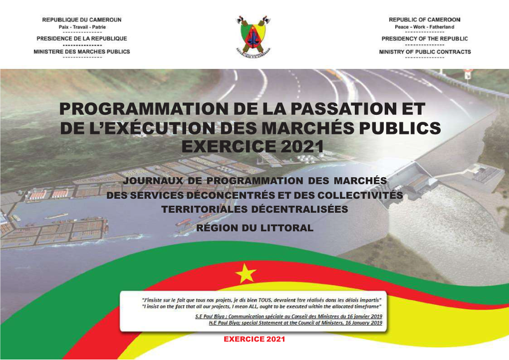 Programmation De La Passation Et De L'exécution Des Marchés Publics