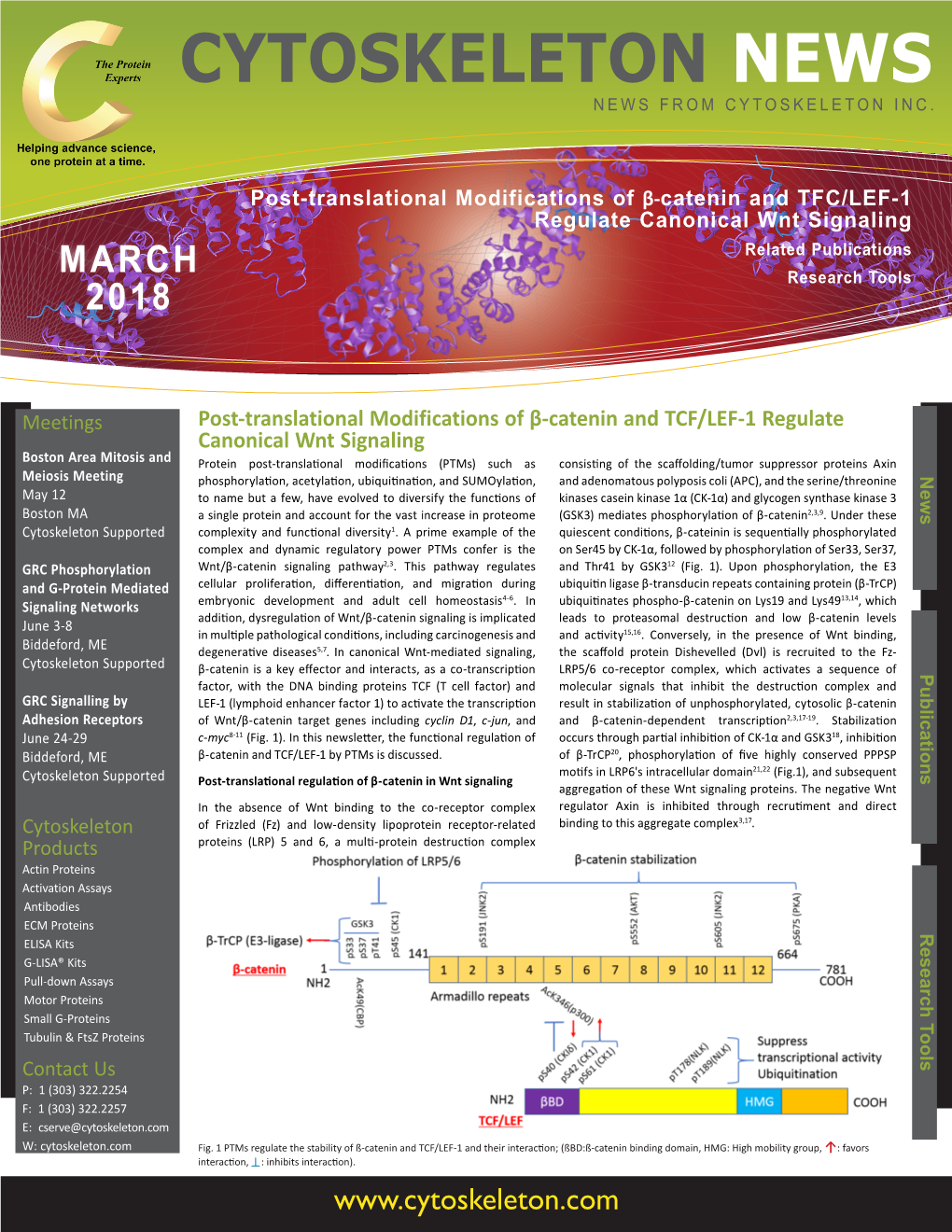 Post-Translational Modifications of Β-Catenin and TFC/LEF-1 Regulate Canonical Wnt Signaling Related Publications MARCH Research Tools 2018