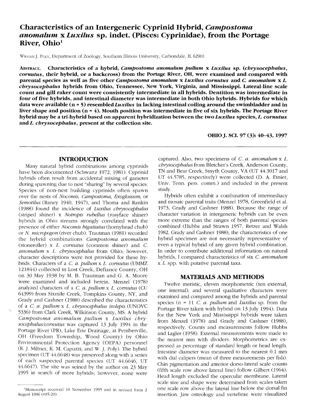 Characteristics of an Intergeneric Cyprinid Hybrid, Campostoma Anomalum X Luxilus Sp