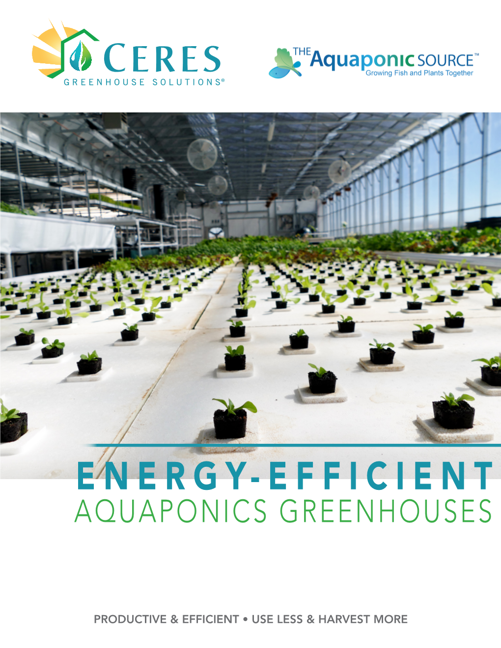Aquaponics Greenhouses