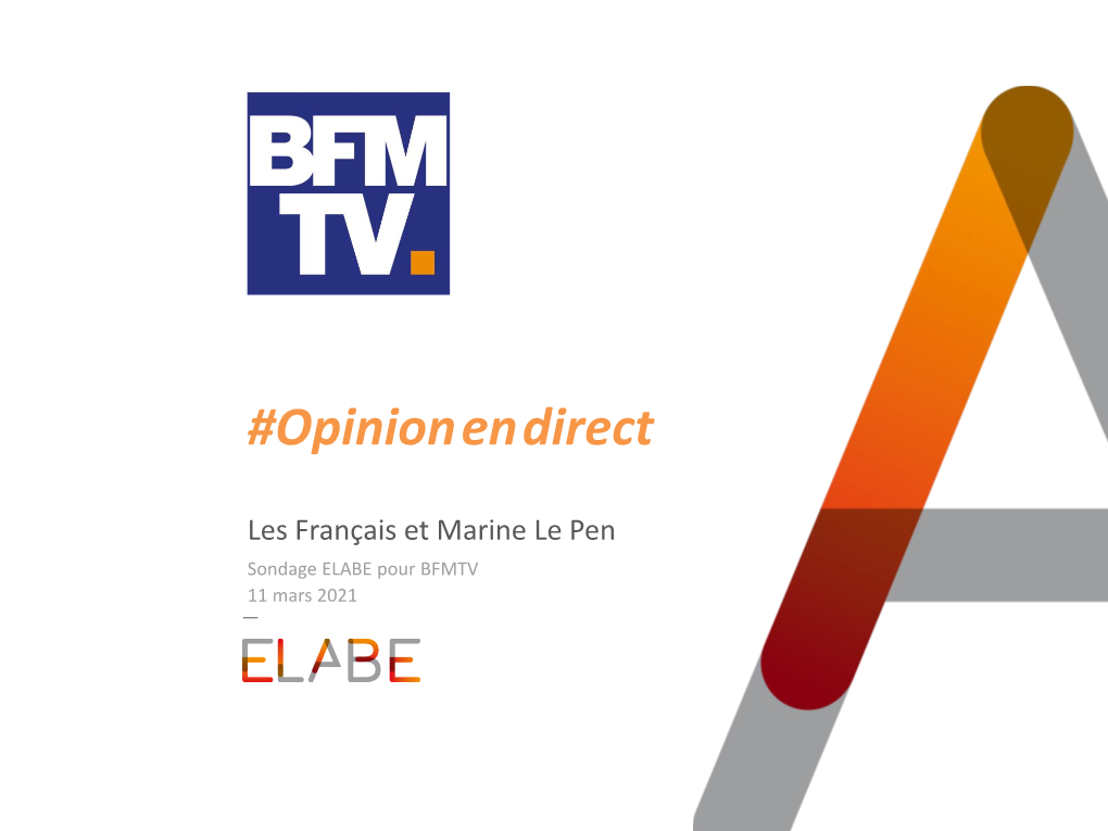 Les Français Et Marine Le Pen Sondage ELABE Pour BFMTV 11 Mars 2021 Fiche Technique