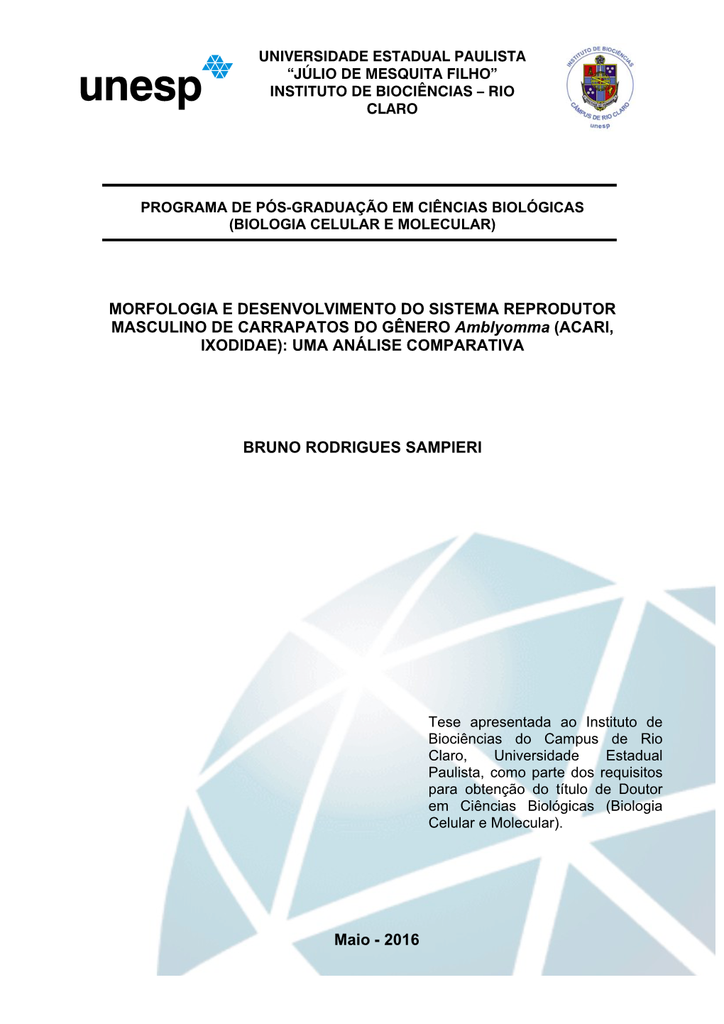 MORFOLOGIA E DESENVOLVIMENTO DO SISTEMA REPRODUTOR MASCULINO DE CARRAPATOS DO GÊNERO Amblyomma (ACARI, IXODIDAE): UMA ANÁLISE COMPARATIVA