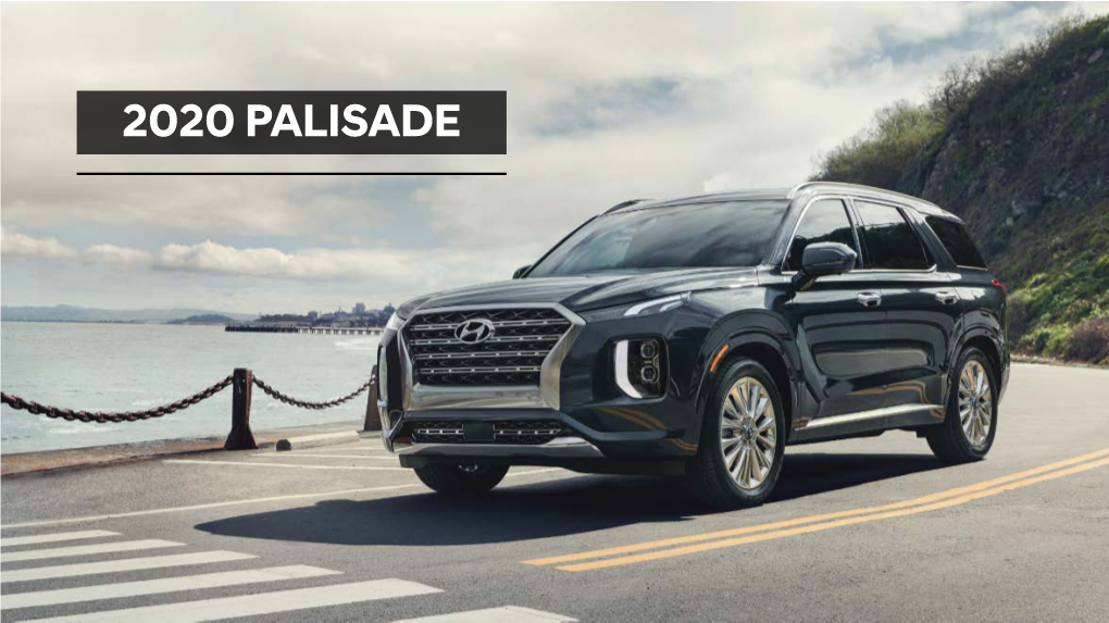 2020 Palisade