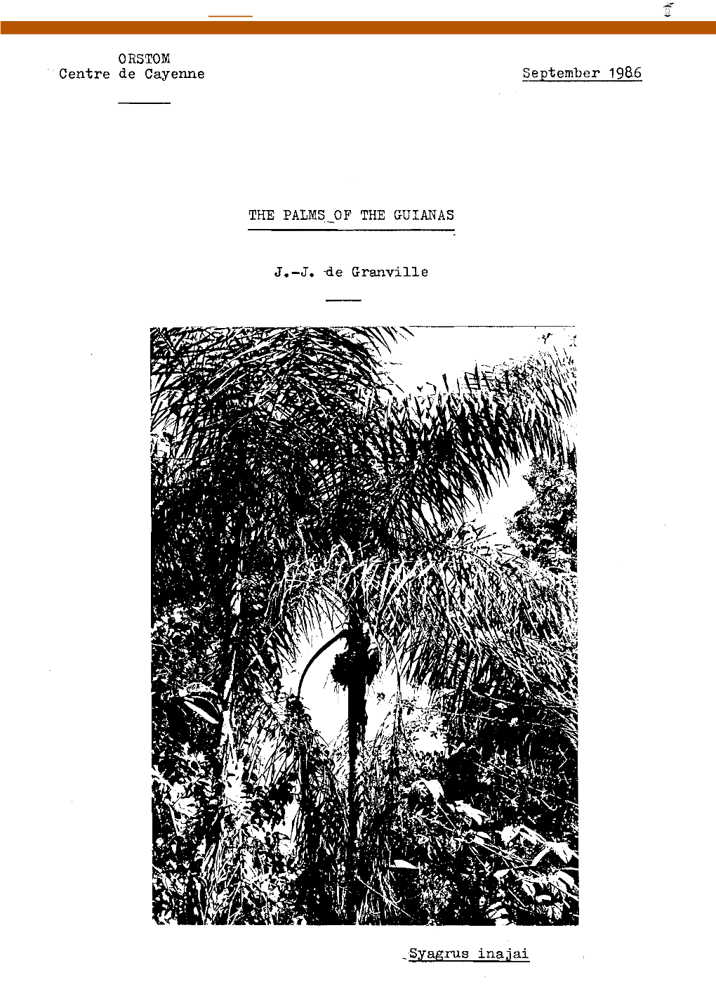 The Palms of the Guianas
