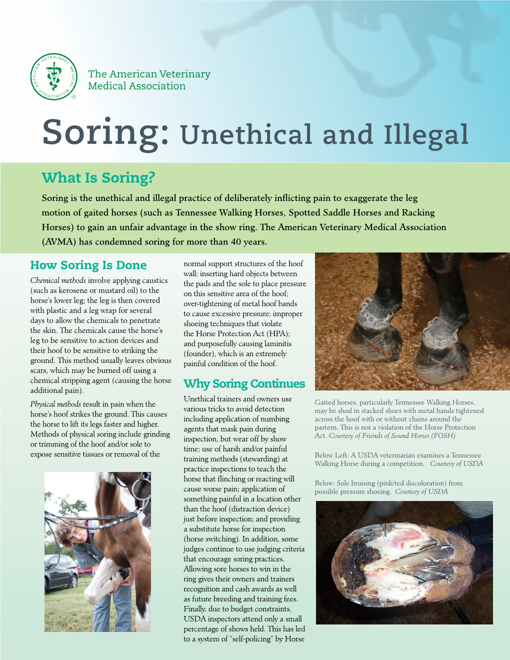 Soring: Unethical and Illegal