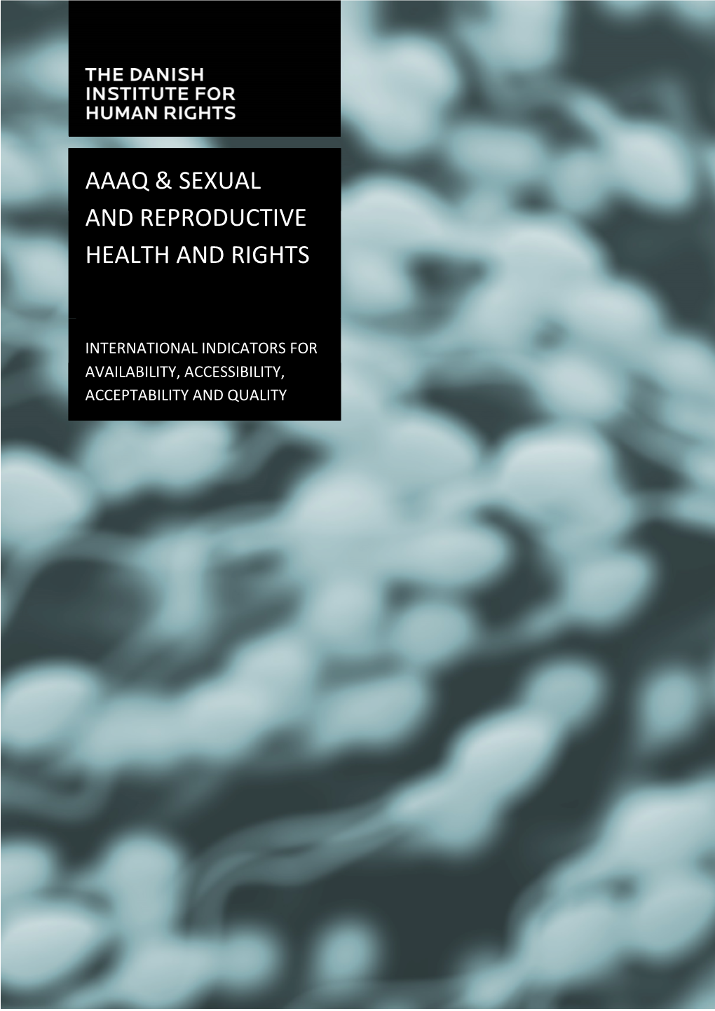 PAPER: AAAQ & Sexual and Reproductive Health and Rights