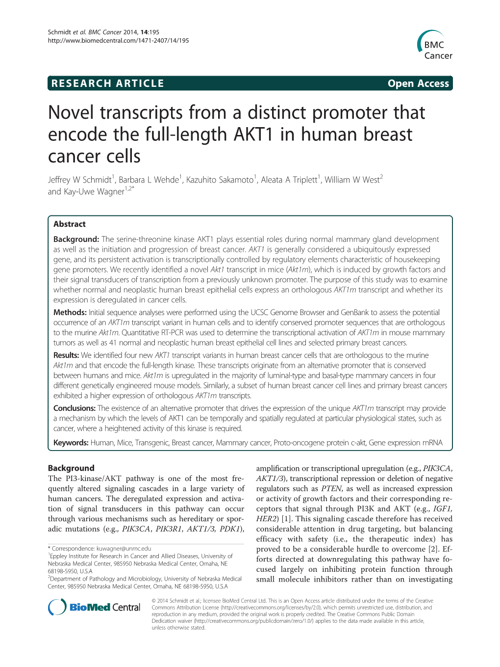 Novel Transcripts from a Distinct Promoter That Encode the Full-Length