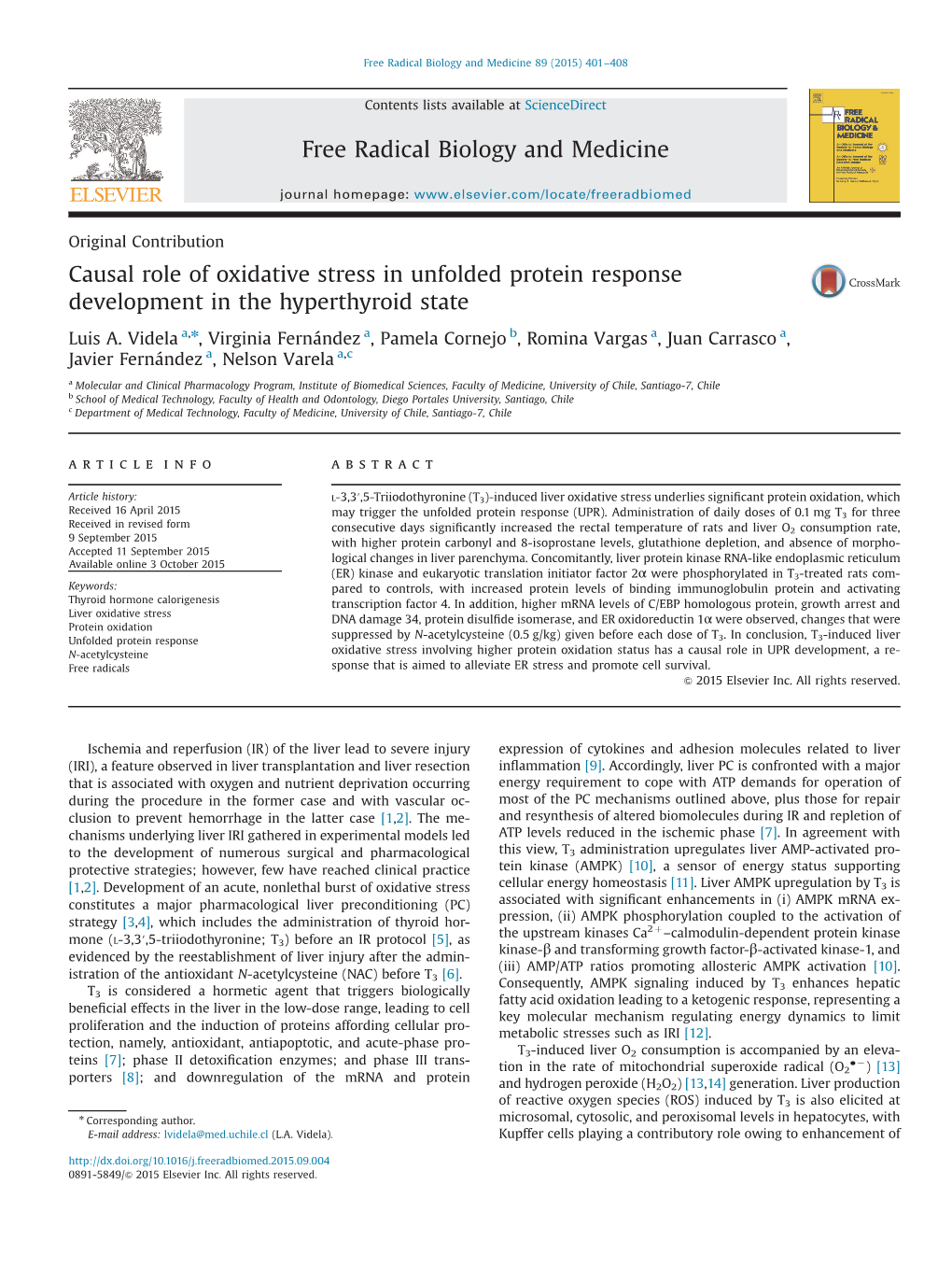 Causal Role of Oxidative Stress in Unfolded Protein Response Development in the Hyperthyroid State