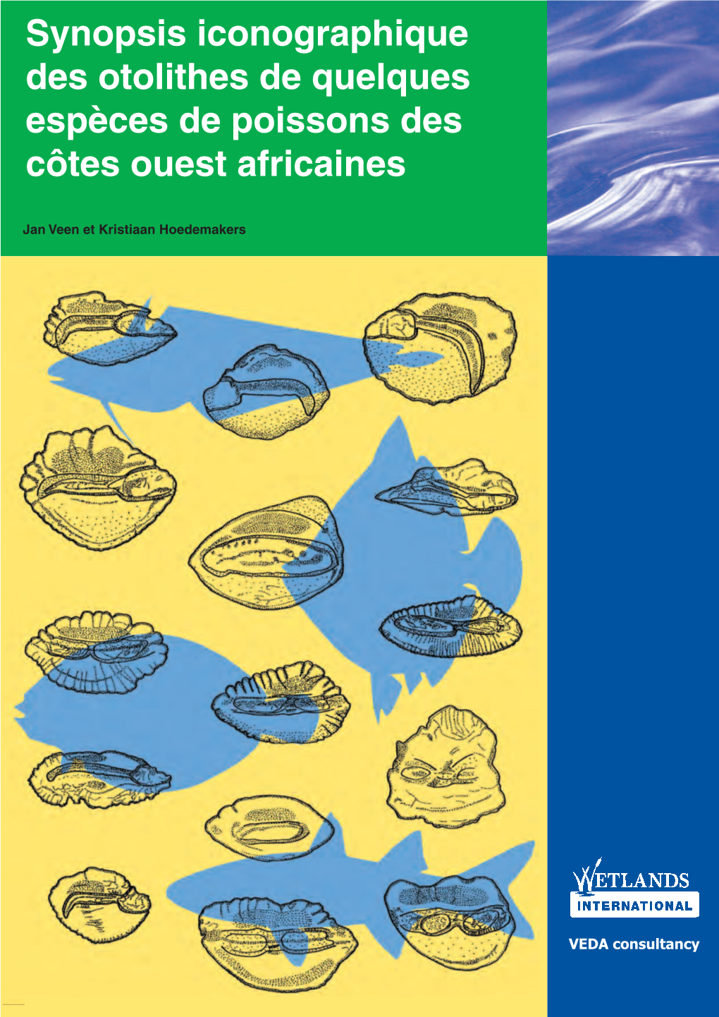 Synopsis Iconographique Des Otolithes De Quelques Espèces De Poissons Des Côtes Ouest Africaines