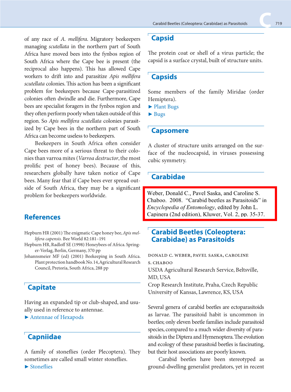 (Coleoptera: Carabidae) As Parasitoids C 719 of Any Race of A