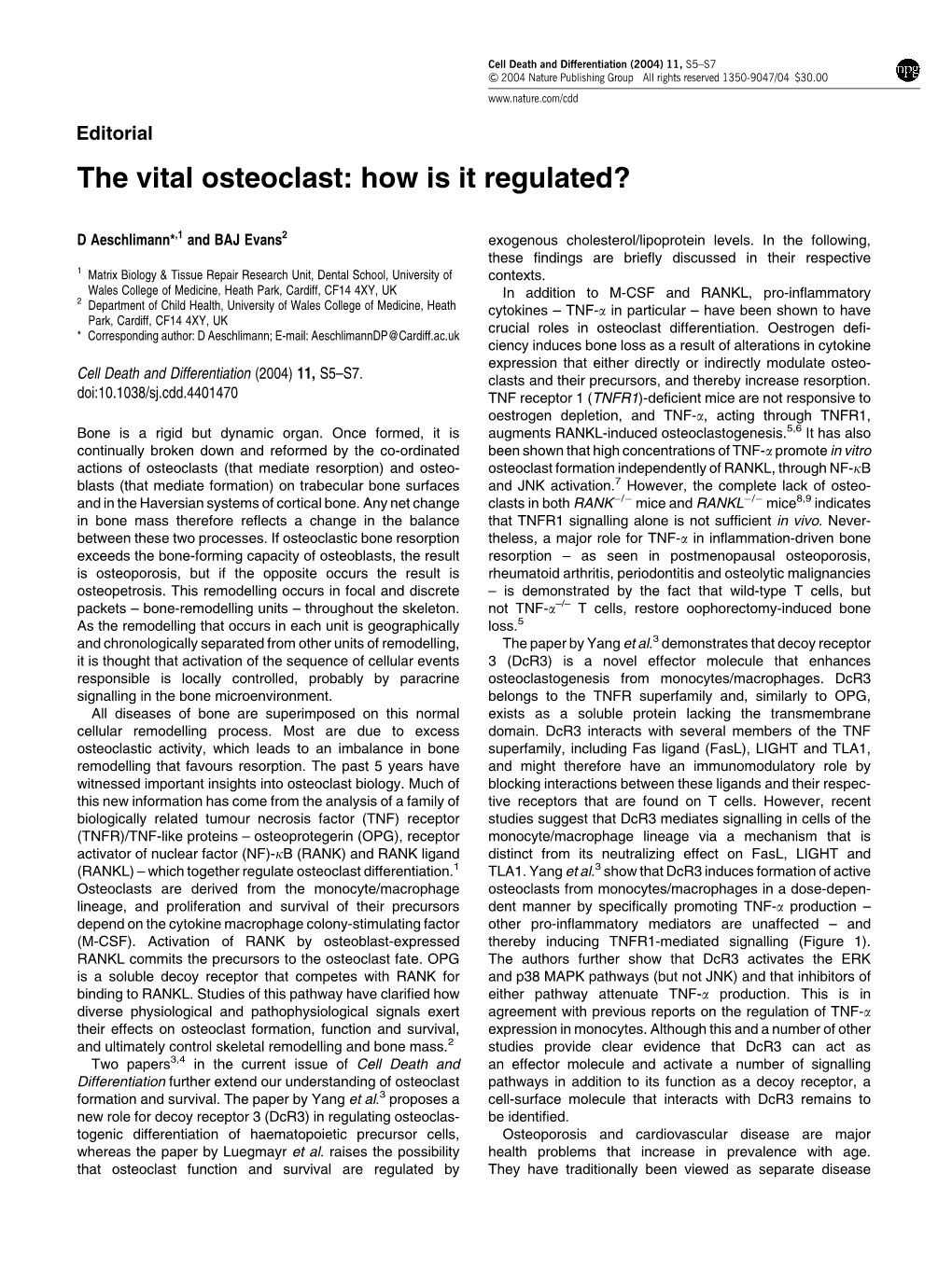 The Vital Osteoclast: How Is It Regulated?