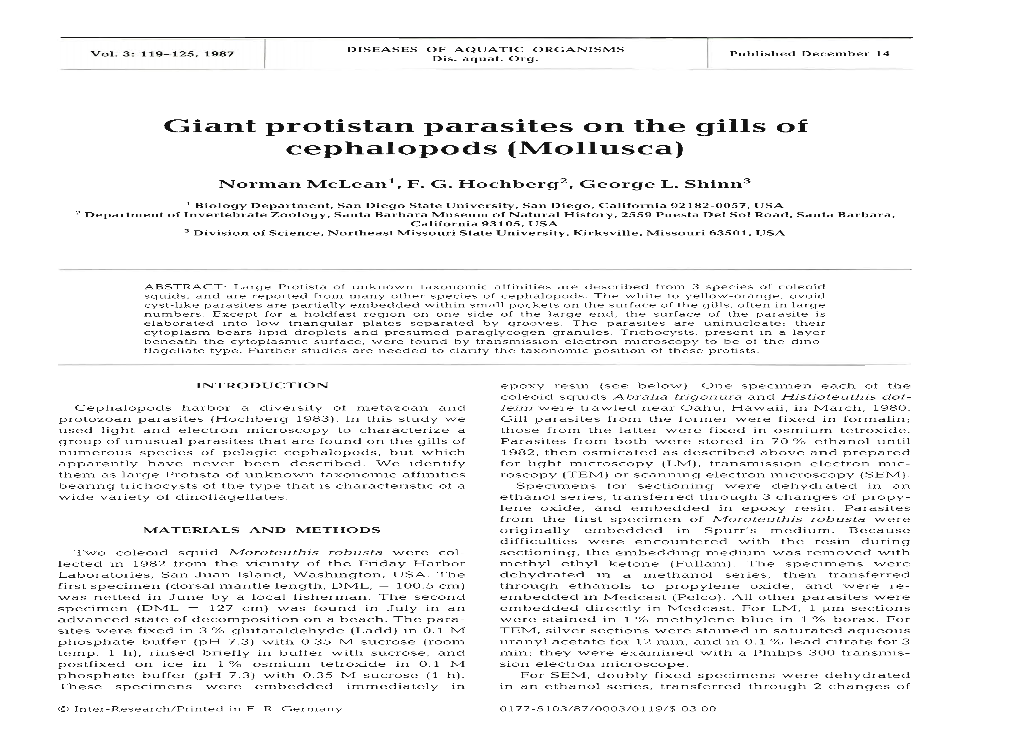 Giant Protistan Parasites on the Gills of Cephalopods (Mollusca)