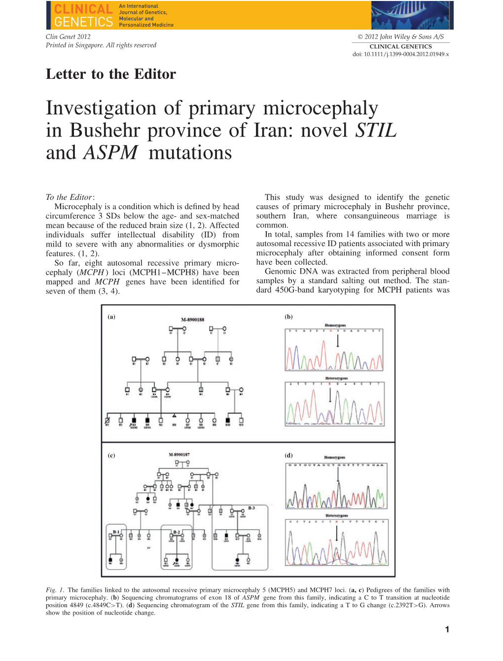 Investigation of Primary Microcephaly in Bushehr Province of Iran: Novel STIL and ASPM Mutations