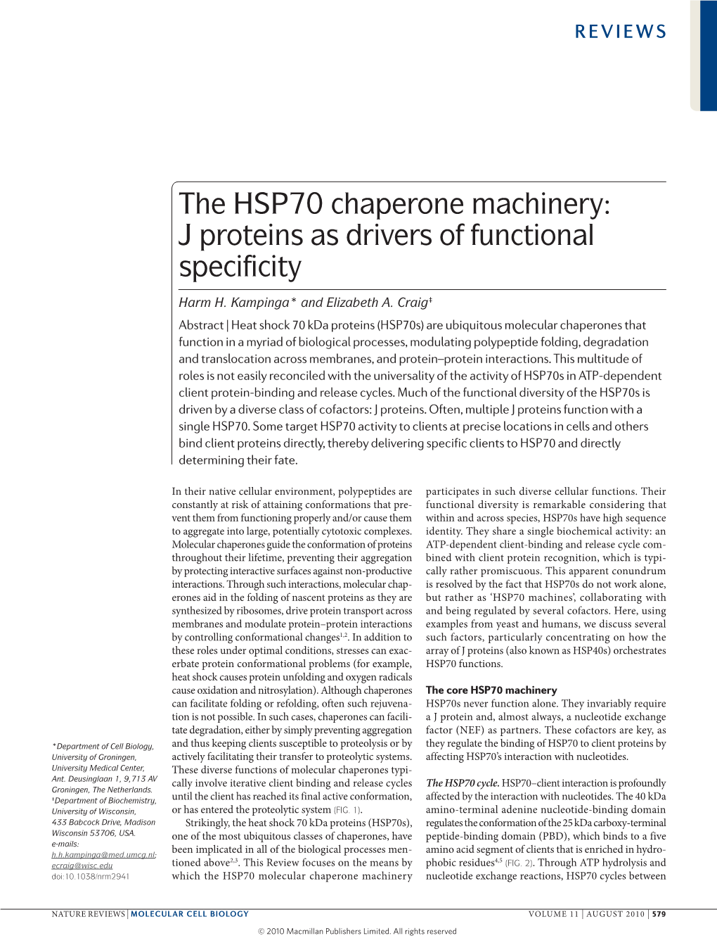 The HSP70 Chaperone Machinery: J Proteins As Drivers of Functional Specificity