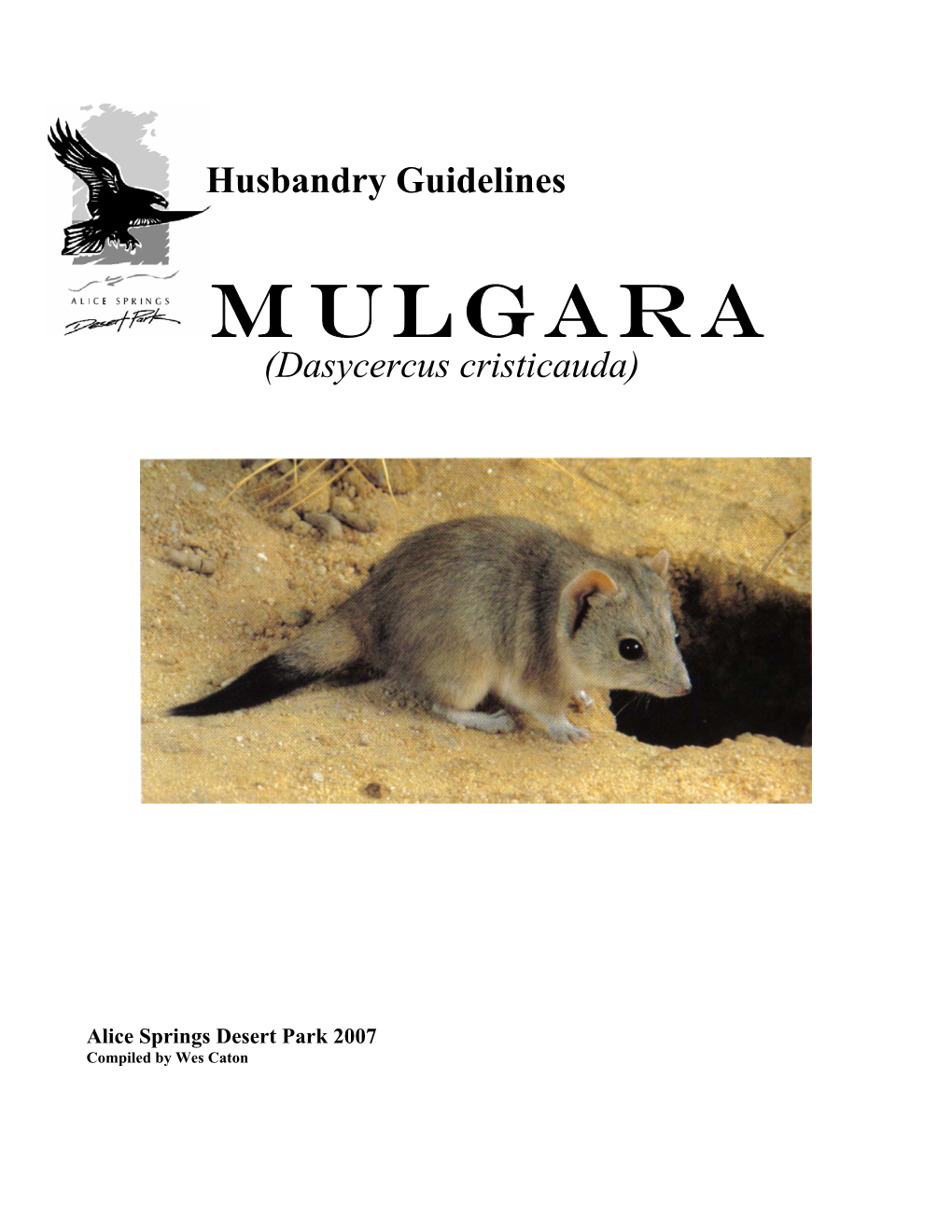 Mulgara Husbandry Ma