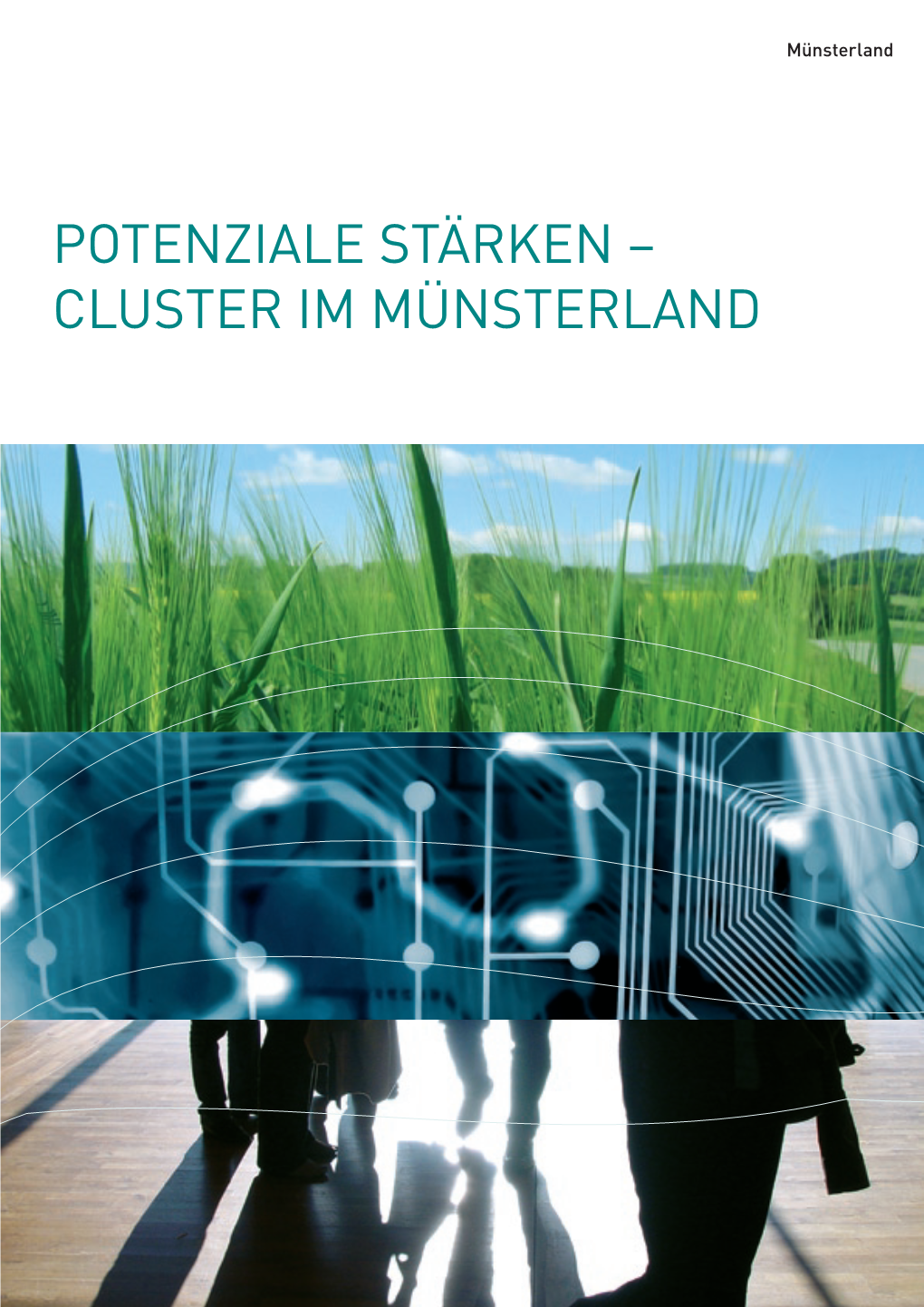 Cluster Im Münsterland