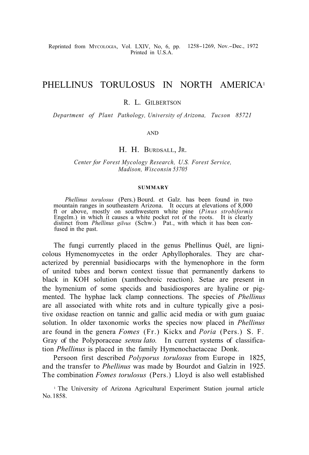 Phellinus Torulosus in North America1