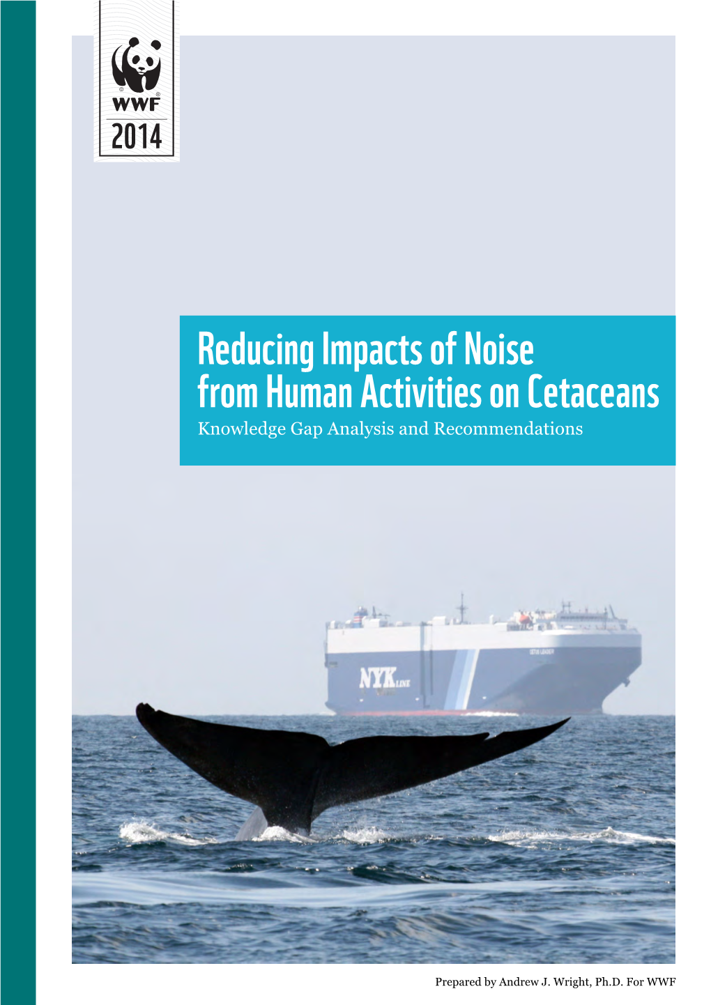 Reducing Impacts of Noise from Human Activities on Cetaceans Knowledge Gap Analysis and Recommendations
