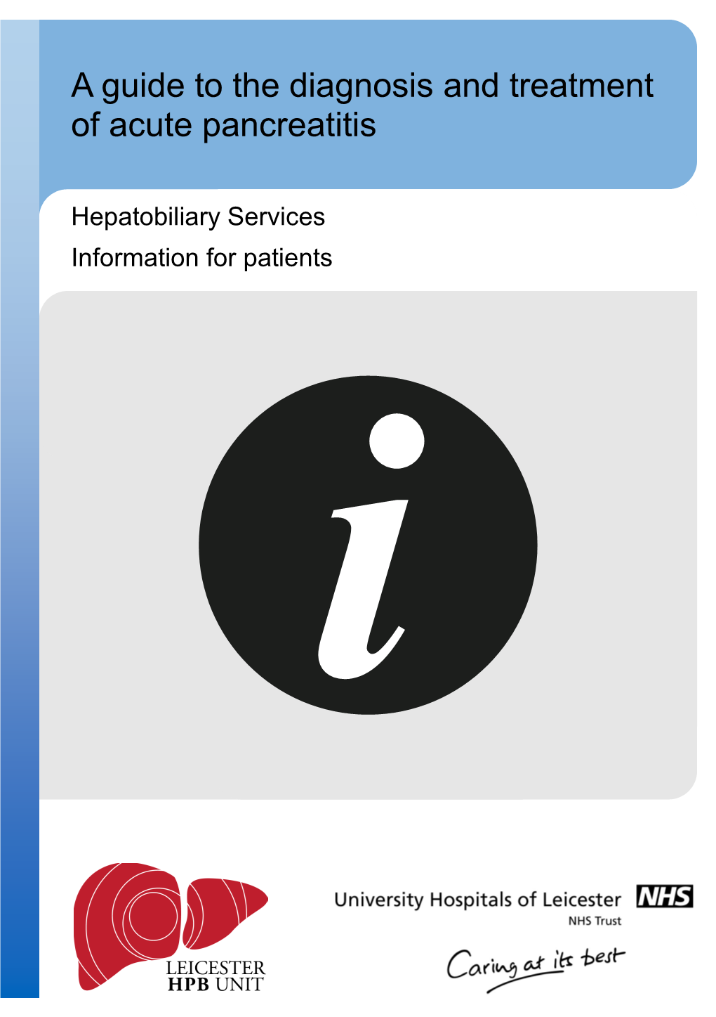 A Guide to the Diagnosis and Treatment of Acute Pancreatitis