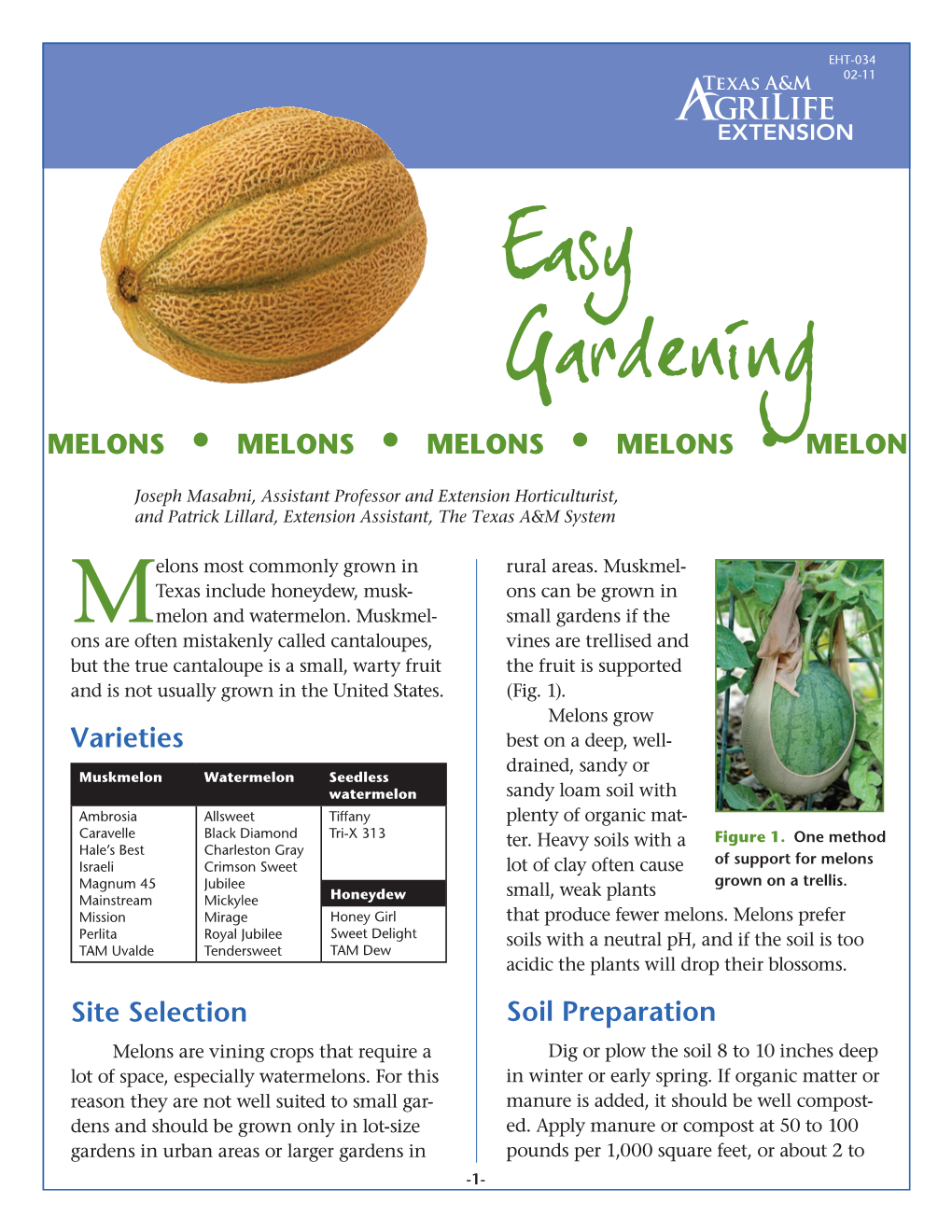 How to Grow Melons