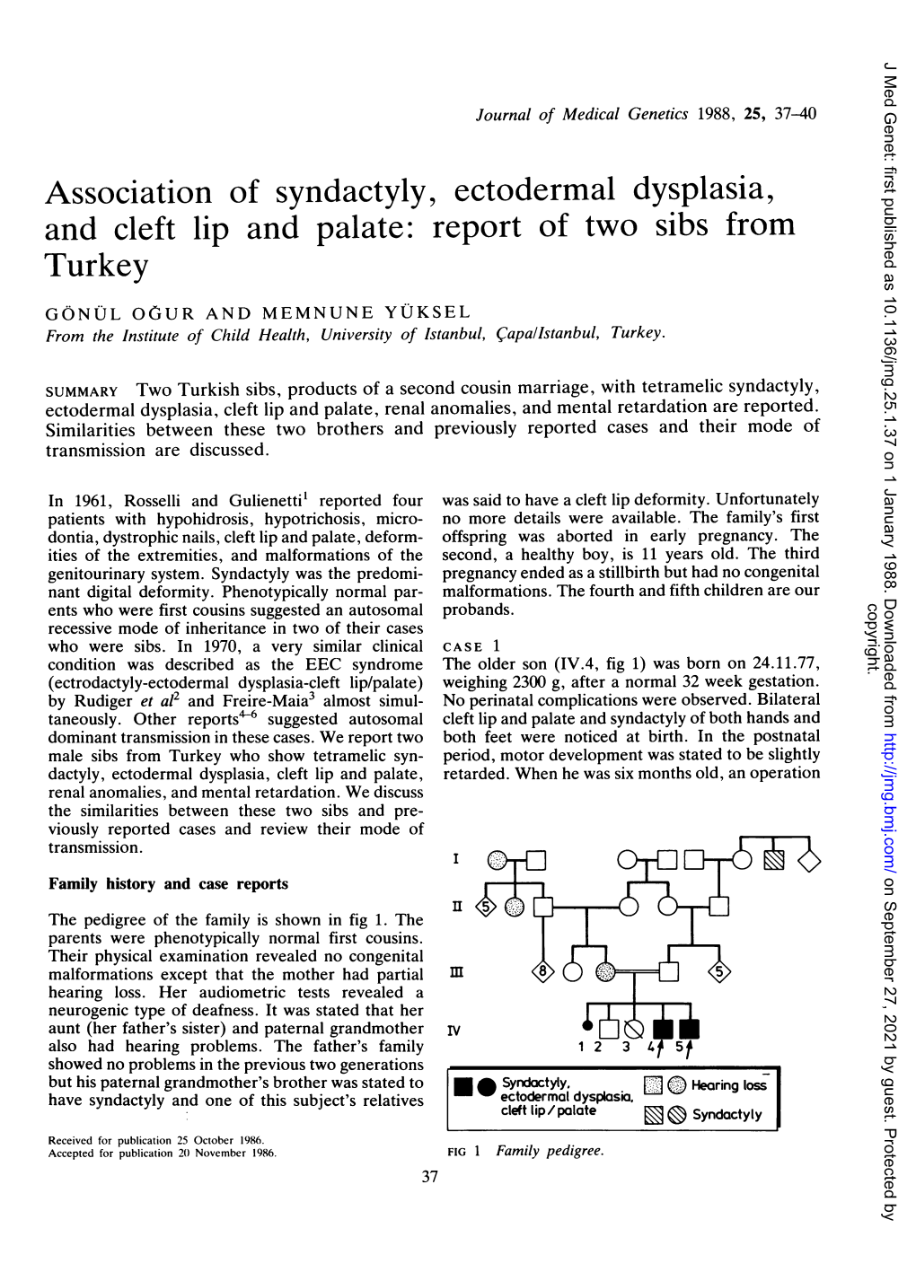 Association of Syndactyly, Ectodermal Dysplasia, and Cleft Lip and Palate: Report of Two Sibs from Turkey