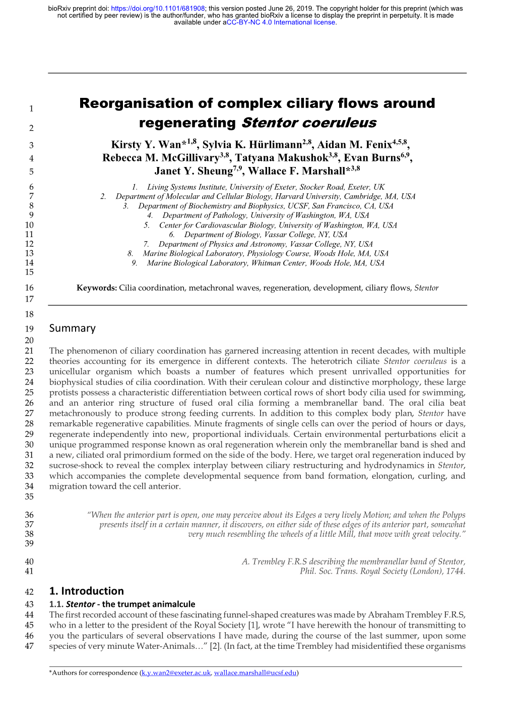 Reorganisation of Complex Ciliary Flows Around Regenerating Stentor