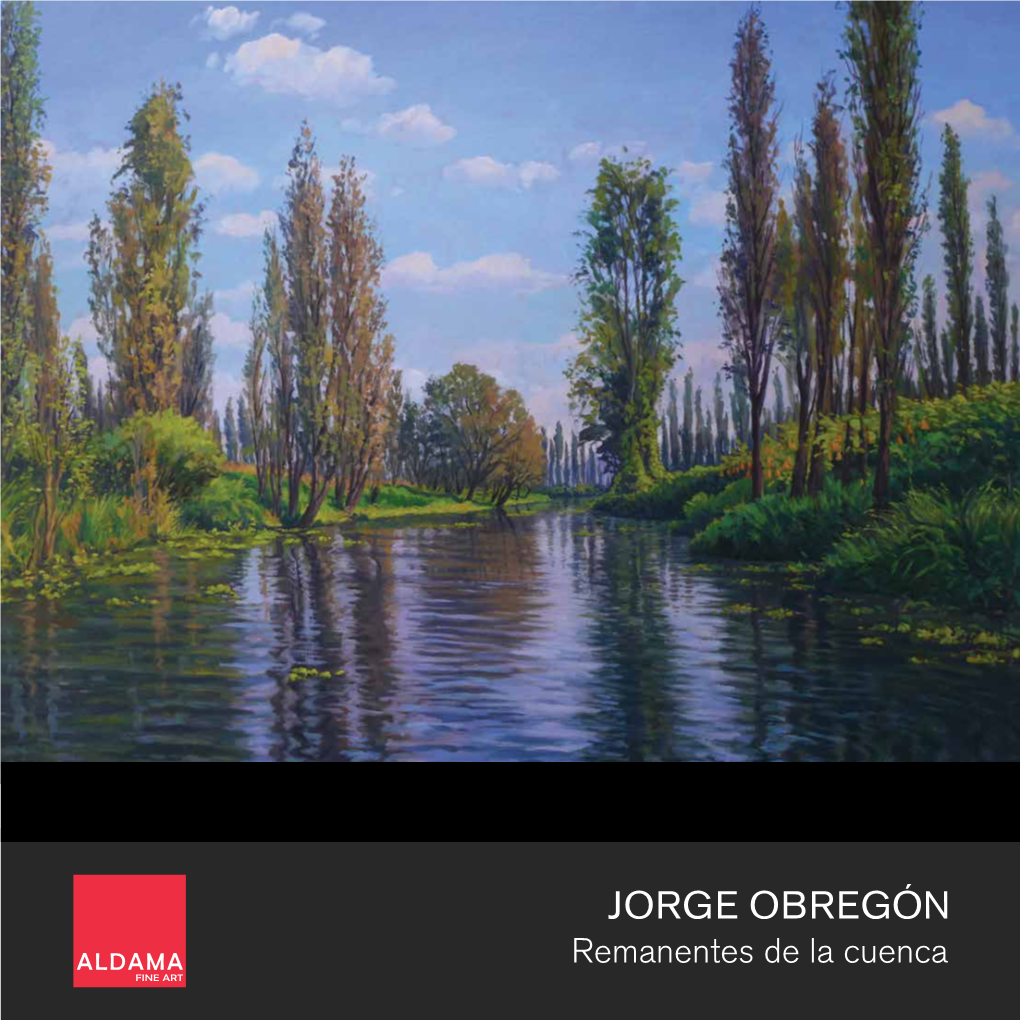 Remanentes De La Cuenca FINE ART JORGE OBREGÓN Remanentes De La Cuenca