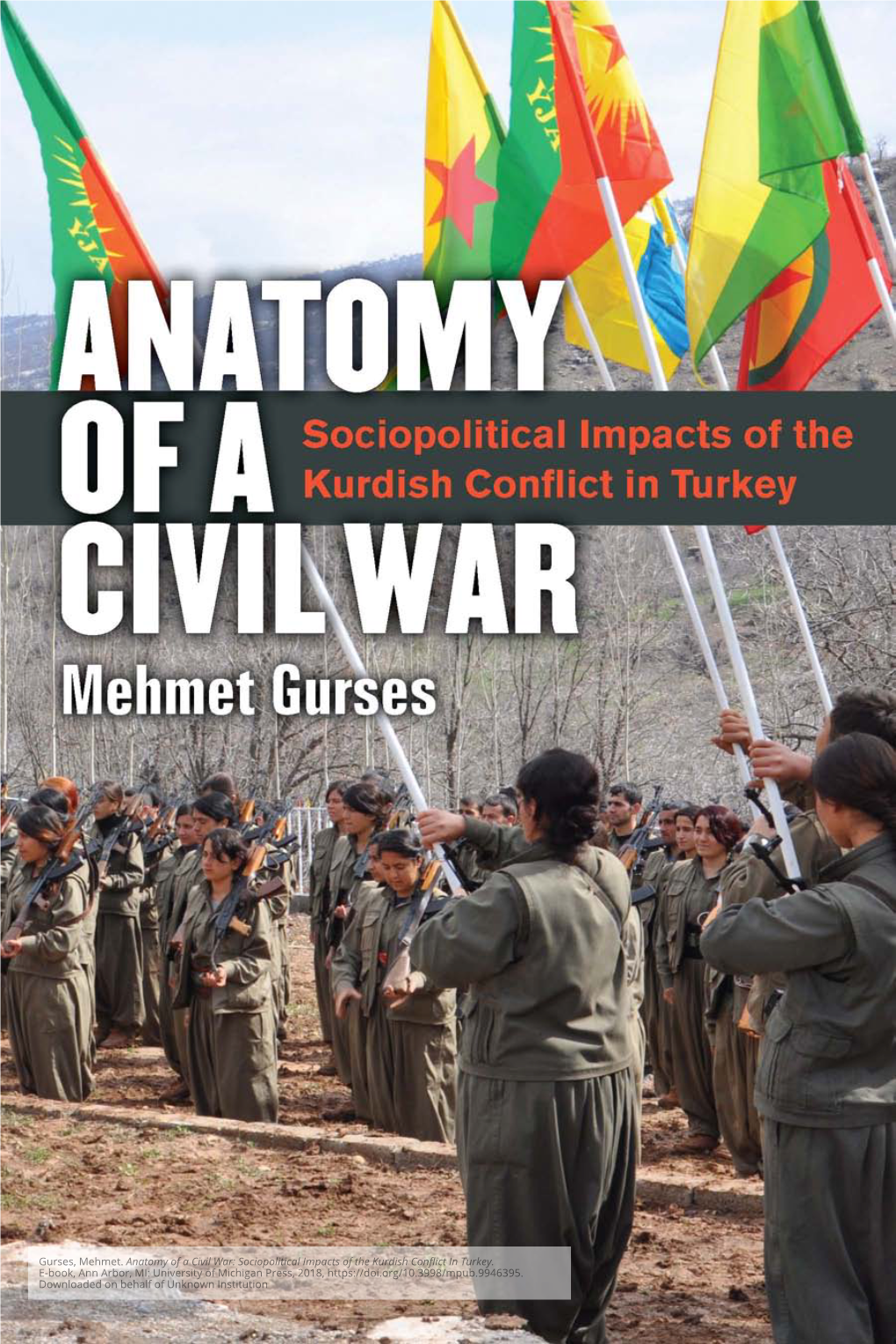 Anatomy of a Civil War: Sociopolitical Impacts of the Kurdish Conflict in Turkey