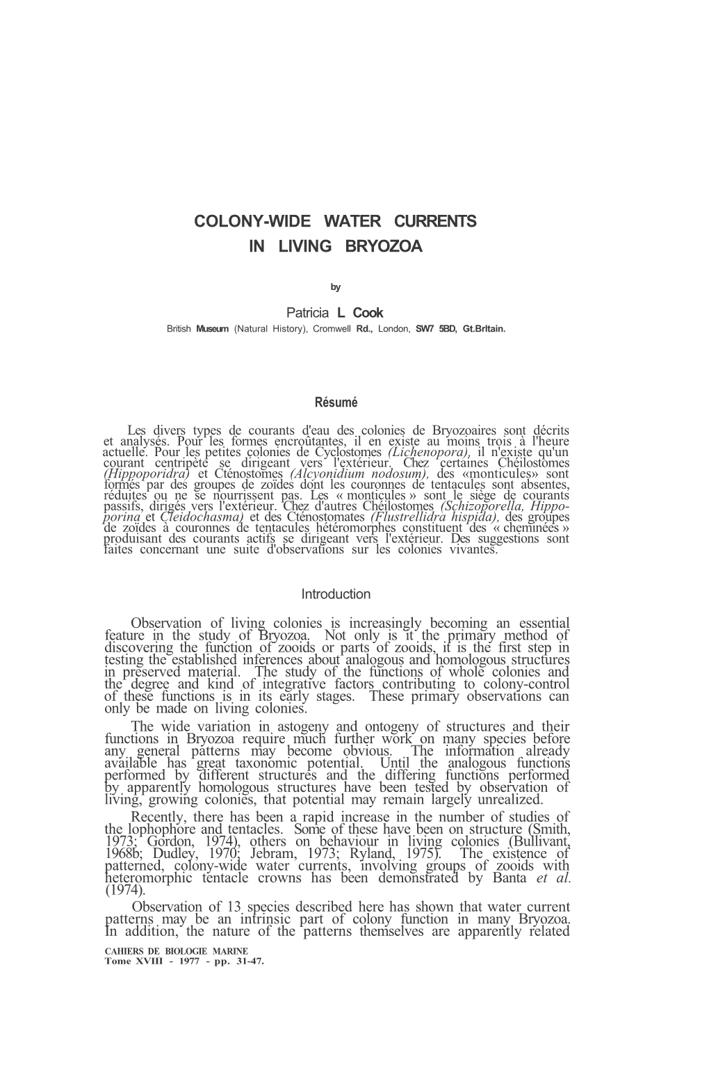 Colony-Wide Water Currents in Living Bryozoa